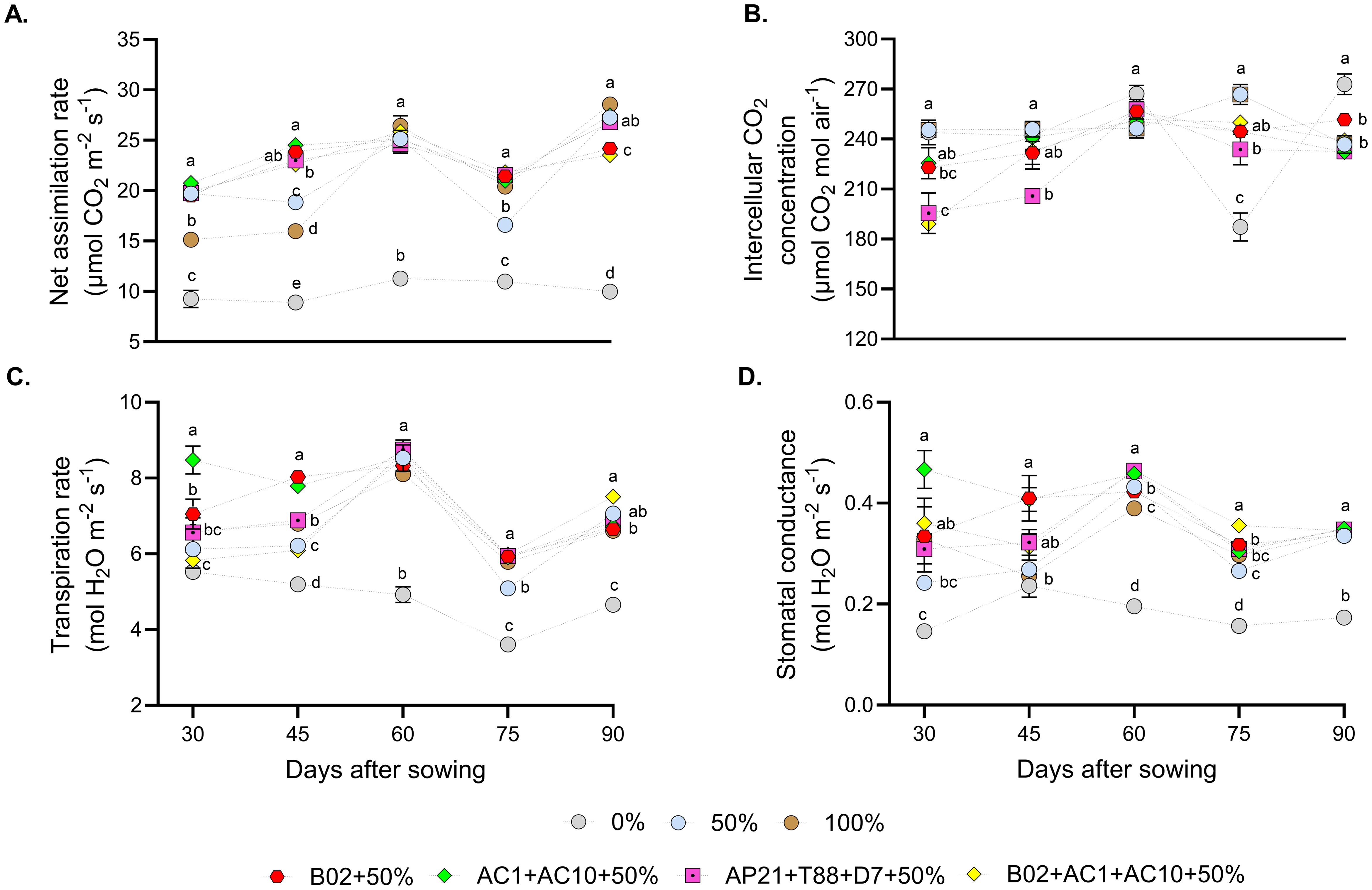 Four-panel graph showing physiological measurements of plants over time: A) Net assimilation rate; B) Intercellular CO2 concentration; C) Transpiration rate; D) Stomatal conductance. Measurements are taken at various days after sowing (30, 45, 60, 75, and 90) and represented by different colored symbols for treatments: B02+50%, AC1+AC10+50%, AP21+T88+D7+50%, B02+AC1+AC10+50%, and control (0%, 50%, 100%). Data points are connected and labeled with significance letters (a-e) indicating differences among treatments.