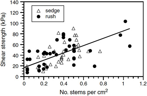 Scatter plot showing shear strength in kilopascals on the y-axis versus number of stems per square centimeter on the x-axis. Data points are depicted as triangles for sedge and circles for rush, with a positive trend line indicating a correlation.
