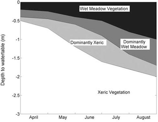 Graph showing depth to water table in meters from April to August with four vegetation types. Wet Meadow Vegetation is highest, followed by Dominantly Wet Meadow, Dominantly Xeric, and Xeric Vegetation, which increases in depth over time.