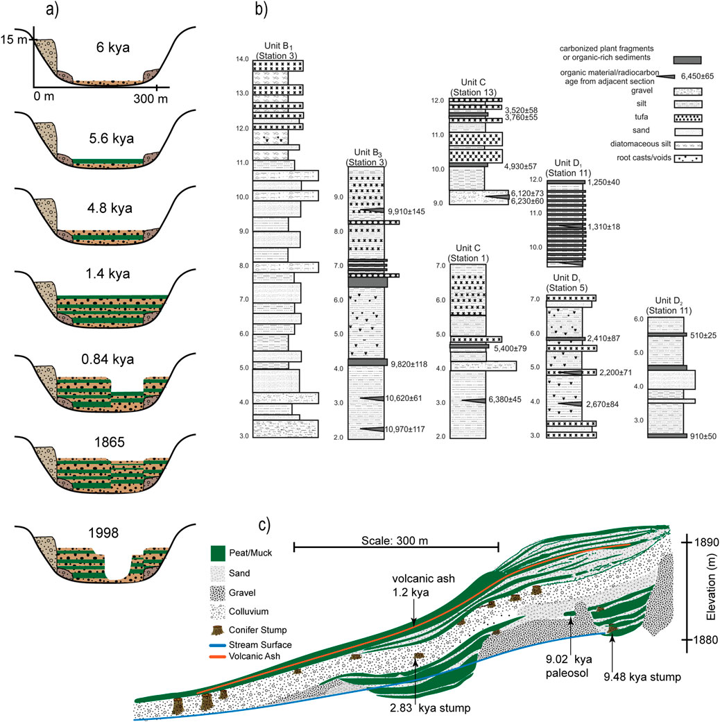 Diagram with three panels. Panel (a) shows cross-sections of sediment layers over time, labeled 6 kya to 1998. Panel (b) contains sedimentary unit columns from different stations with various material types, ages, and radiocarbon dates. Panel (c) illustrates a stratigraphic section showing layers such as peat, sand, gravel, volcanic ash, and conifer stumps, with significant markers labeled by age and a scale indicator.