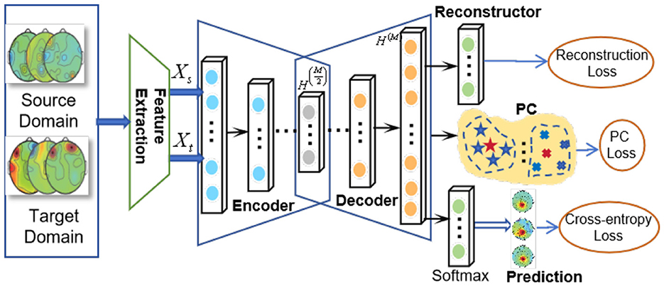 Diagram showing a machine learning model for domain adaptation. It includes a feature extraction from source and target domains, followed by an encoder-decoder architecture. Outputs pass through a reconstructor, leading to reconstruction, PC, and cross-entropy losses. The final output is a prediction.