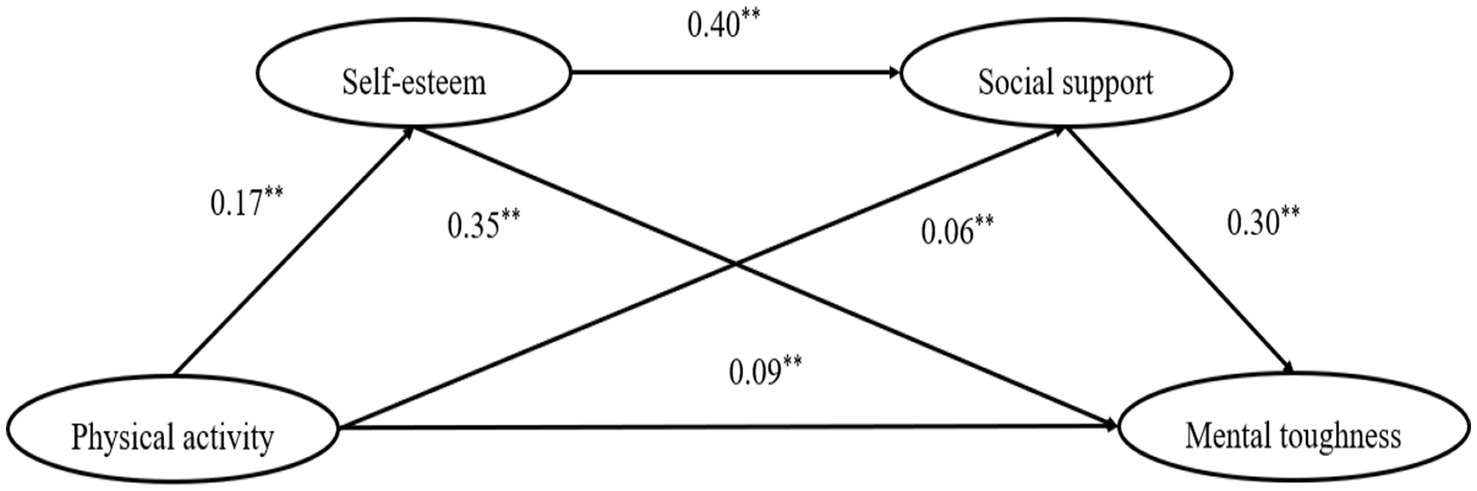 A model diagram showing relationships among four variables: physical activity, self-esteem, social support, and mental toughness. Arrows indicate paths with standardized coefficients: physical activity to self-esteem (0.35), social support (0.06), and mental toughness (0.09); self-esteem to social support (0.40) and mental toughness (0.17); social support to mental toughness (0.30).