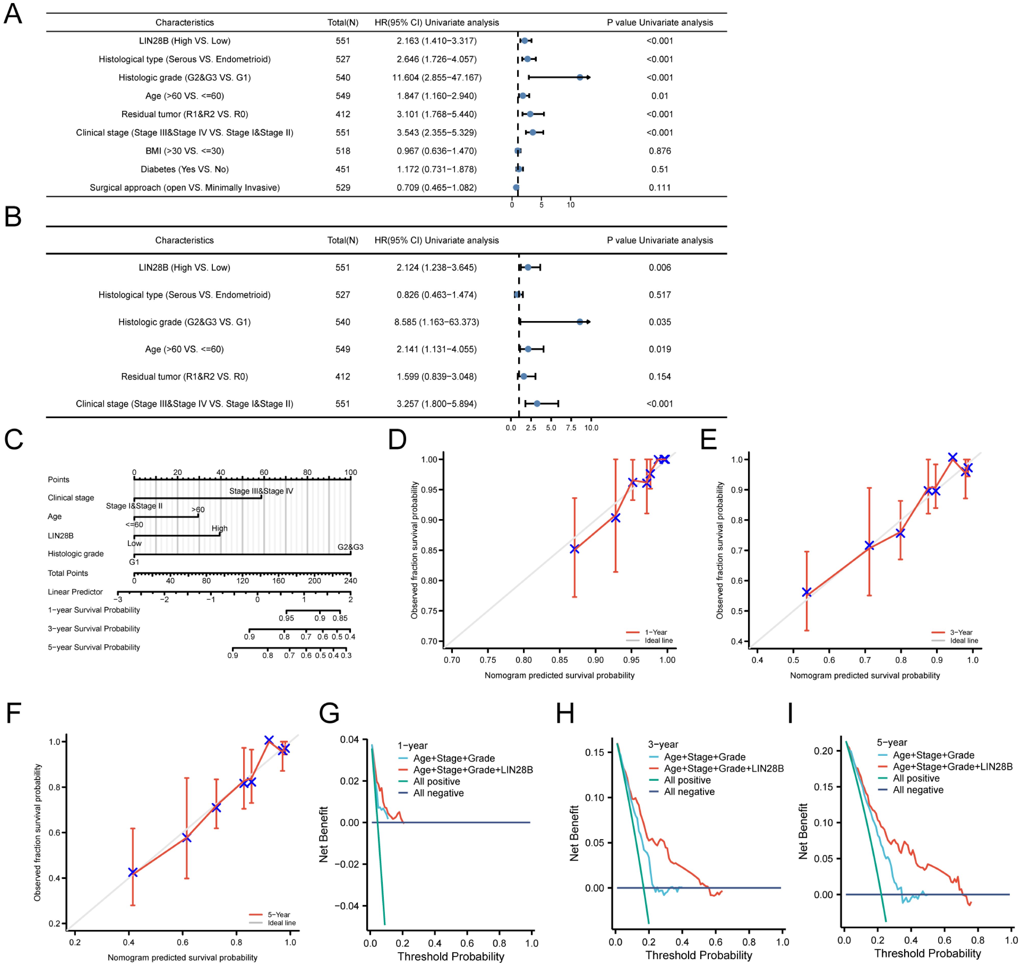 This image consists of multiple panels. Panels A and B show tables and forest plots with hazard ratios and confidence intervals analyzing various characteristics, including LIN28B levels, histological types, and clinical stage, with associated p-values. Panel C features a nomogram for predicting survival probabilities based on clinical characteristics. Panels D, E, and F are calibration plots comparing observed versus predicted survival probabilities for one, three, and five years. Panels G, H, and I display decision curve analyses demonstrating net benefit across different threshold probabilities for survival prediction models.