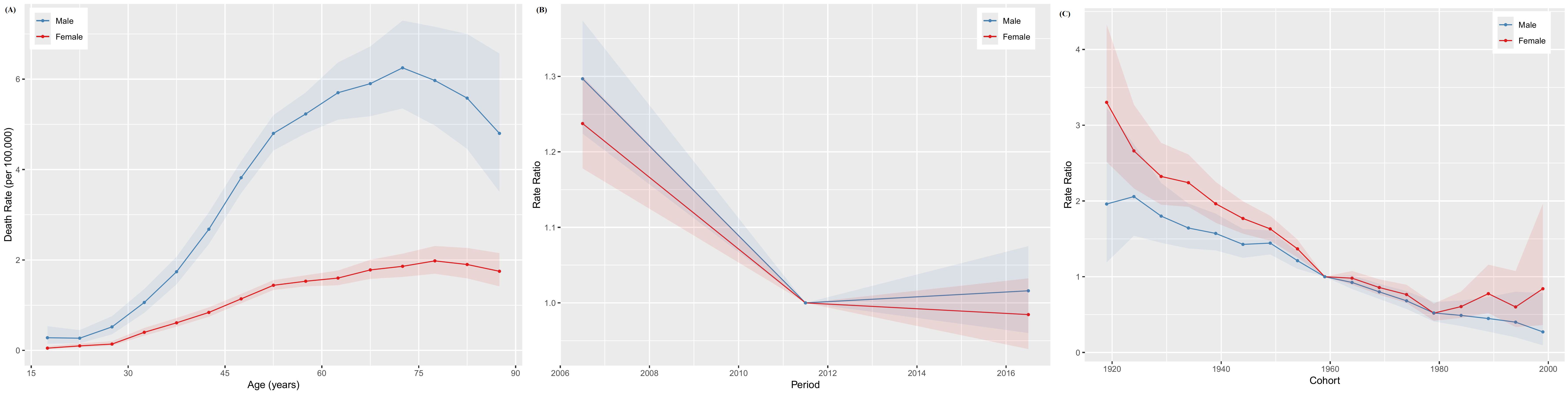 Three-panel line graph with shaded areas. Panel A shows death rates per 100,000 by age, with higher rates for males. Panel B depicts a declining hazard ratio over time, reducing for both genders. Panel C illustrates varying rate ratios by birth cohort, with a broader disparity in earlier cohorts decreasing over time.