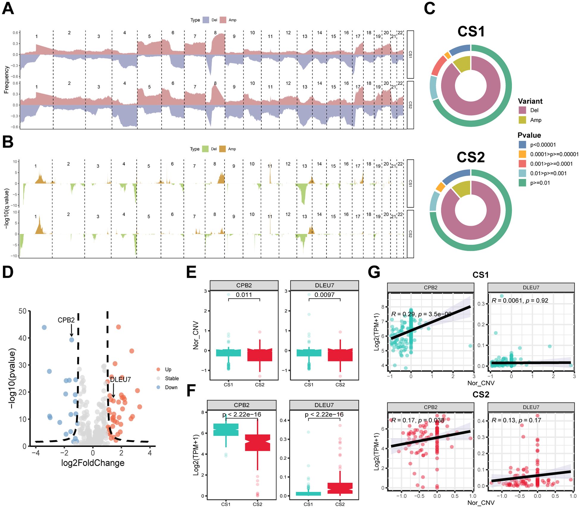 Panel A shows frequency plots of deletions and amplifications across chromosomes 1 to 22. Panel B displays significance, with p-values indicated using color-coded triangles for deletions and amplifications. Panel C presents circular plots for CS1 and CS2 variants, detailing del and amp segments with associated p-values. Panel D is a volcano plot illustrating changes in CPB2 and DLEU7 expression. Panels E and F provide box plots comparing normalized copy number variations and log-transformed expression levels in CS1 and CS2. Panel G features scatter plots correlating copy number variations with expression for CPB2 and DLEU7 in CS1 and CS2.
