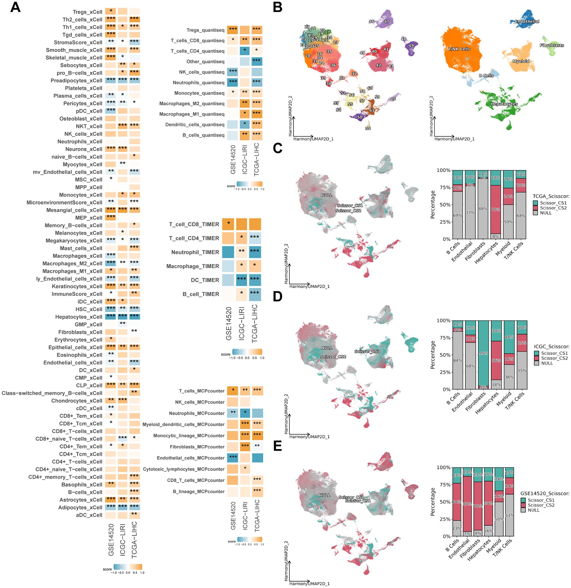 Panel A shows heatmaps indicating cell type enrichment scores from various datasets across different cell types. Panels B to E display UMAP plots of cell populations with accompanying bar graphs showing the percentage distribution of specified cell subtypes for different datasets. Colors indicate unique cell populations and the graphs quantify their distribution.