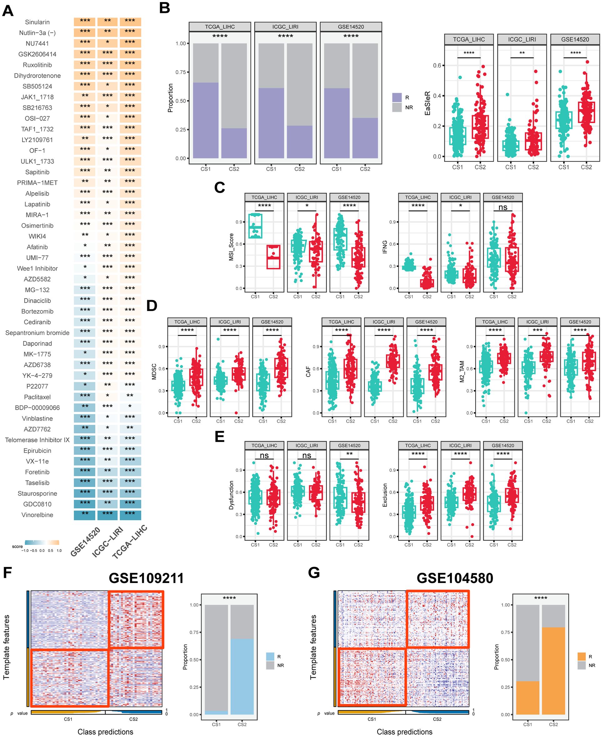 Heatmap and box plots representing drug response and various scores across datasets. Panel A shows drug response classification with significance levels. Panel B displays proportions and ESSRG scores across datasets TCGA_LIHC, ICGC_LIRI, and GSE14520. Panel C shows NS scores and IRG scores. Panel D includes IMDS, CAF, and M2_TAM scores. Panel E depicts dysfunction and exclusion scores. Panel F (GSE109211) and Panel G (GSE104580) contain heatmaps of template features alongside class prediction proportions, labeled R and NR, with statistical significance marked by asterisks.