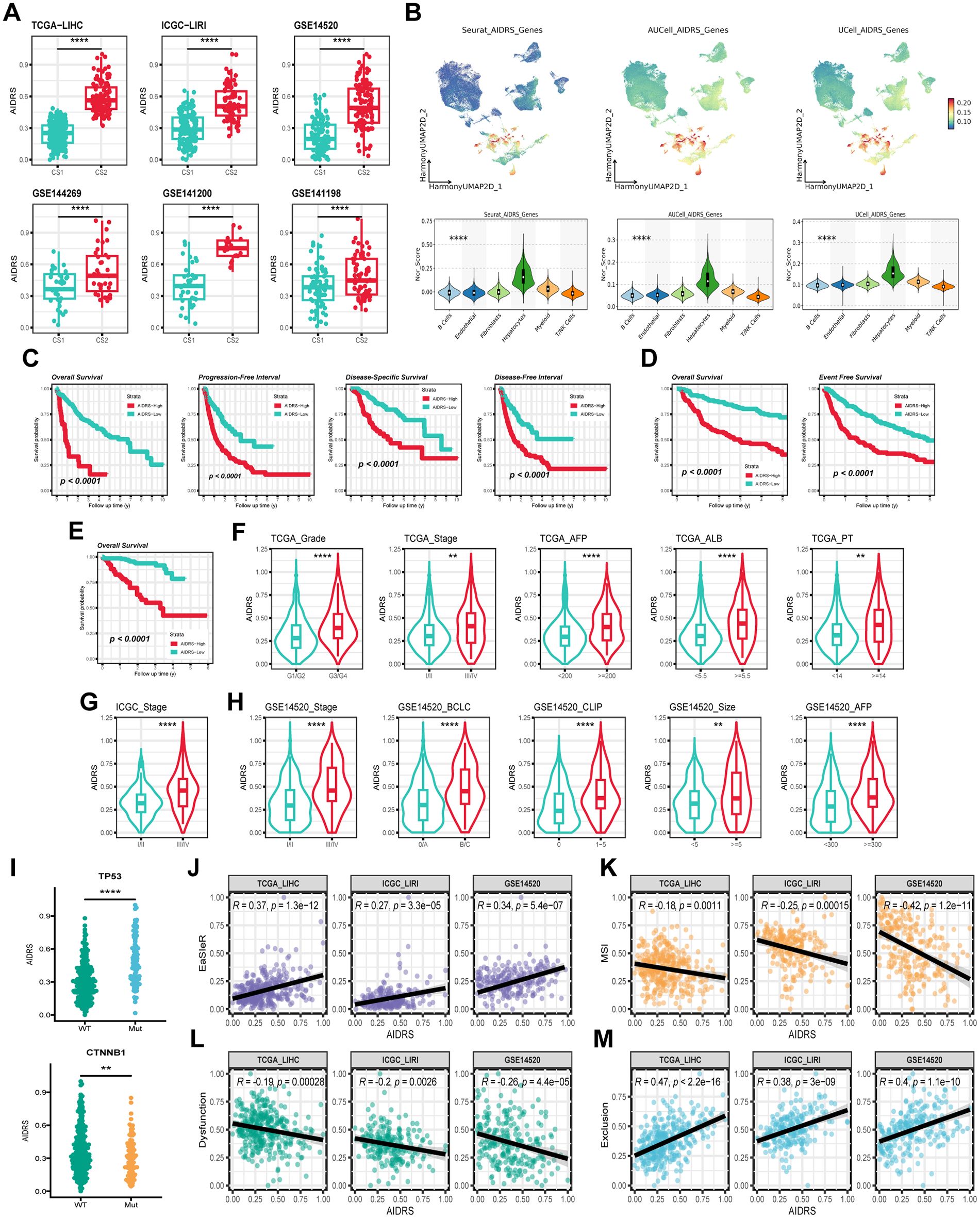 Multiple plots and charts analyzing gene expression and survival data. Panel A features box plots of ADRS scores across various datasets. Panel B shows UMAP visualizations and corresponding plots for different gene sets. Panels C and D display Kaplan-Meier survival curves for different conditions. Panels F, G, and H present violin plots of ADRS scores with various clinical parameters. Panel I shows scatter plots for TP53 and CTNNB1 mutations. Panels J, K, L, and M include scatter plots with regression lines for different correlations within datasets, highlighting statistical significance.