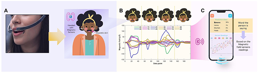 Diagram of a voice recognition system involving magnetic sensors. Panel A shows a person wearing a headset with sensors. Panel B illustrates a graph with multiple colored lines representing sensor data during speech. Panel C displays a smartphone app interpreting the data to predict the spoken word “banana”, shown with a probability percentage based on sensor readings.