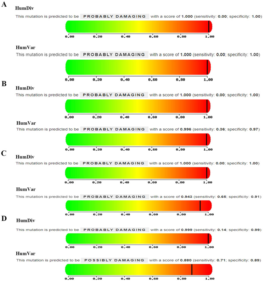 Four panels labeled A through D show prediction scores for mutations using HumDiv and HumVar metrics. Each bar is color-coded from green to red. Panel A, B, and C show mutations predicted as