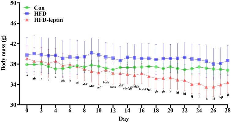 Line graph showing changes in body mass over 28 days for three groups: control (green circles), high-fat diet (HFD) (blue squares), and HFD-leptin (red triangles). The y-axis represents body mass in grams, ranging from thirty to fifty. The x-axis denotes days, labeled every two days. Control and Only HFD-leptin groups shows decreasing trends in body mass, Con and HFD groups remaining stable. Error bars indicate variability, with annotations beneath showing statistical significance.