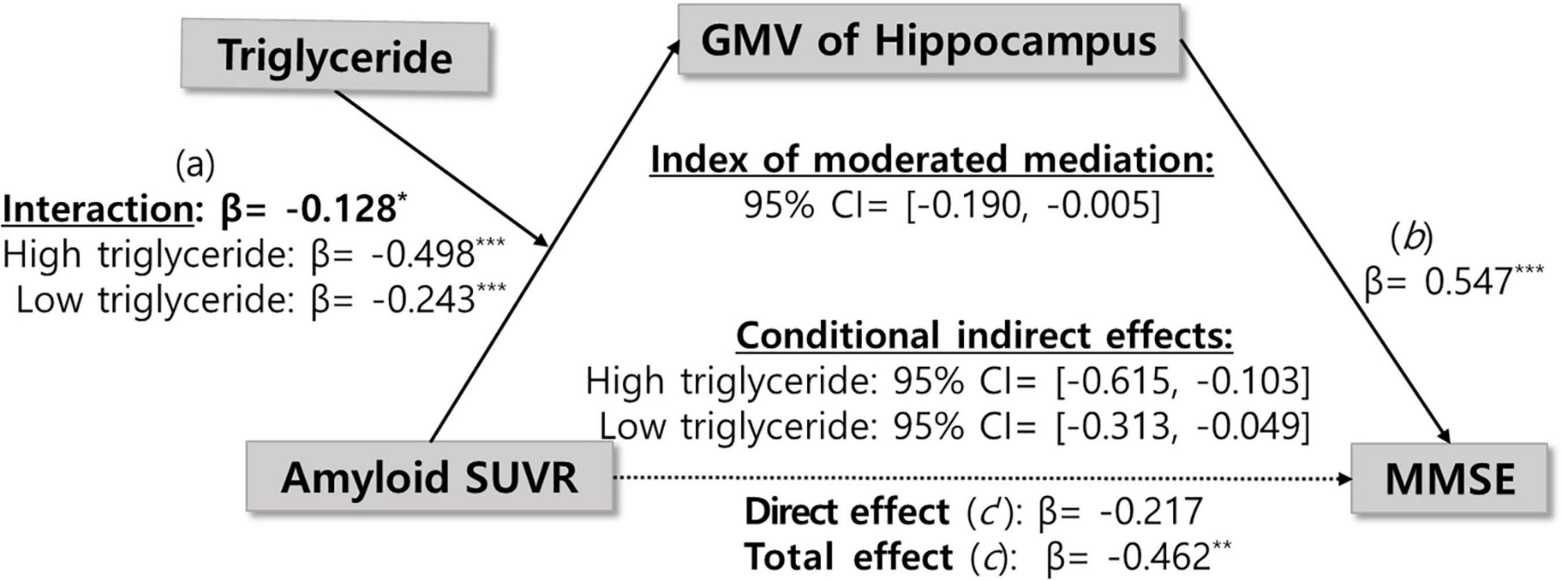 Diagram showing relationships between Triglyceride, Amyloid SUVR, GMV of Hippocampus, and MMSE. Triglyceride interacts with Amyloid SUVR (β = -0.128) affecting GMV of Hippocampus with high (β = -0.498) and low (β = -0.243) triglyceride. GMV affects MMSE (β = 0.547). Indirect effects and index of moderated mediation are provided. Direct effect: β = -0.217, Total effect: β = -0.462.