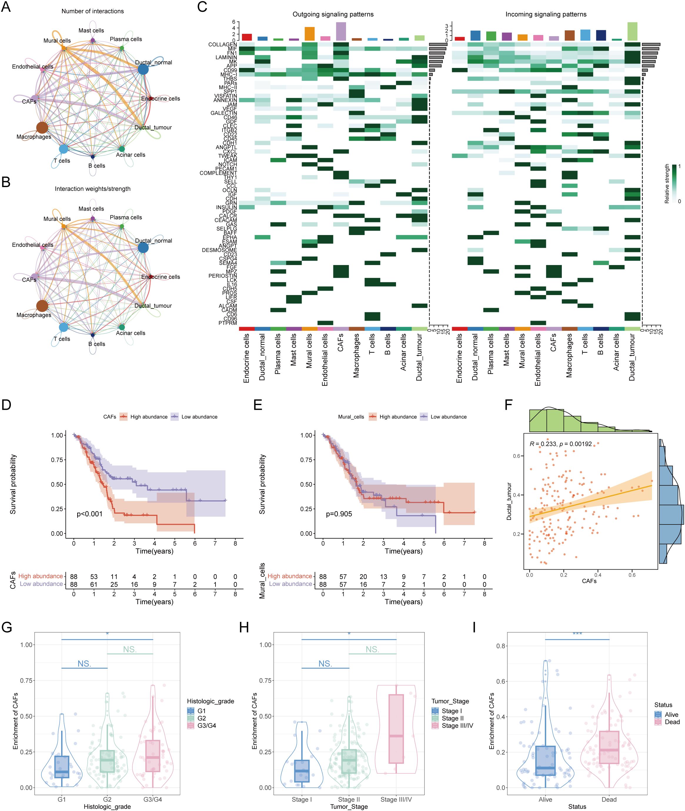 Diagram featuring multiple panels: A and B show cell interaction networks with varying weights and strengths among cell types like mast cells, endothelial cells, and T cells. Panel C contains heatmaps depicting outgoing and incoming signaling patterns across various cell types. Panels D and E are Kaplan-Meier survival plots comparing high and low abundances of CAFs and mural cells, with statistical significance noted. Panel F presents a scatter plot with marginal histograms showing a correlation trend between CAFs and ductal tumors. Panels G, H, and I display violin plots analyzing CAF enrichment across histologic grades, tumor stages, and survival status, respectively.