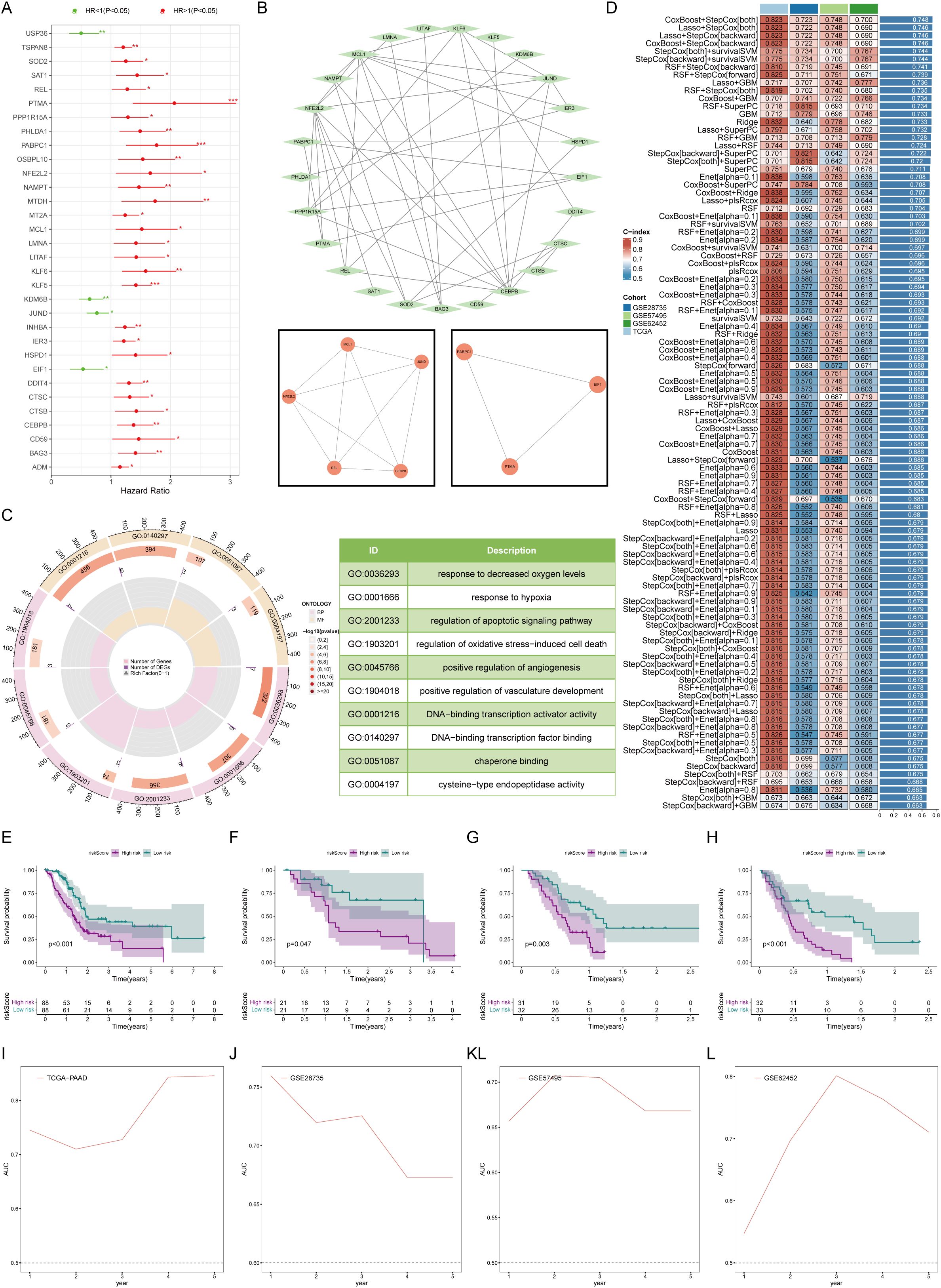 Composite image showing multiple scientific visualizations: a hazard ratio bar chart for gene expression analysis, network graphs depicting gene interactions, a circular diagram of gene ontology terms, a heatmap of model performance with C-index values, Kaplan-Meier survival curves across various conditions, and line graphs plotting AUC scores over time for different datasets.