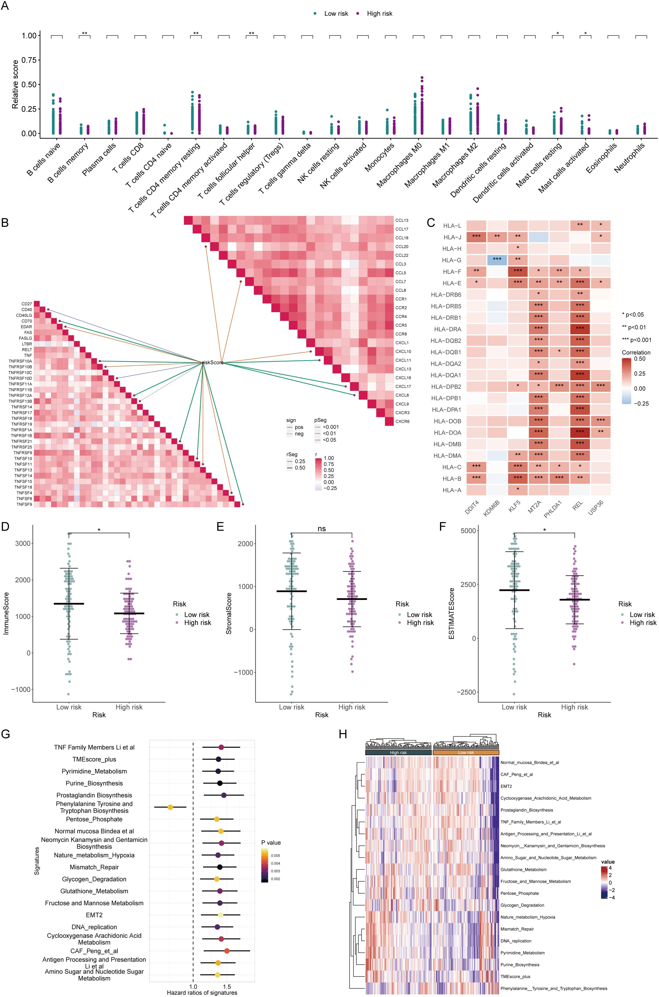 A set of multiple graphs and charts analyzing risk factors. A: Bar graph comparing relative scores of cell types between low and high risk categories. B: Heatmap showing correlations between genes, highlighting various levels of significance. C: Heatmap representing correlation of certain genes, with varying hues indicating correlation strength. D, E, F: Scatter plots comparing ImmunoScore, StromalScore, and ESTIMATEScore between low and high risk groups. Each plot shows statistical significance indicators. G: Forest plot illustrating hazard ratios of different signatures, with colors denoting p-values. H: Heatmap of clustered data on biological processes, with color gradients indicating relative values.
