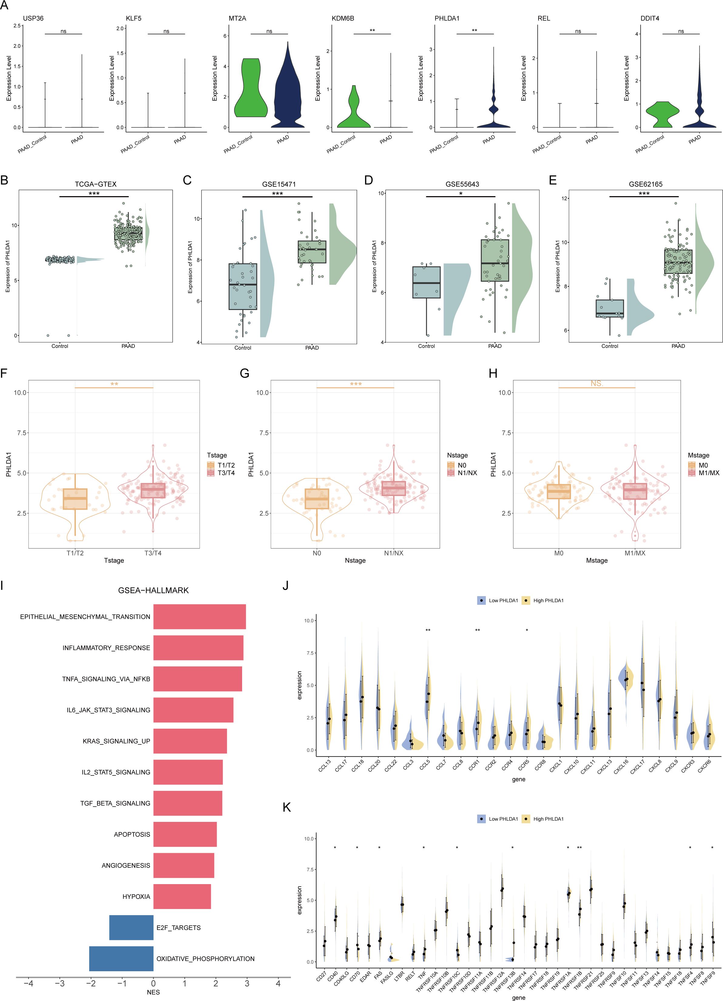 A series of graphs and charts analyzing gene expression data. Panel A presents violin plots for various genes comparing control and PRAD conditions. Panels B to E compare PHLDA1 expression between control and PRAD in different datasets, showing box plots with overlaid violin plots. Panels F to H display PHLDA1 expression related to different cancer stages (T, N, M stages) using box plots with violin plots. Panel I is a bar chart indicating gene set enrichment analysis (GSEA) hallmark pathways. Panels J and K show violin plots for gene expression with respect to PHLDA1 expression levels, distinguishing between low and high expression.