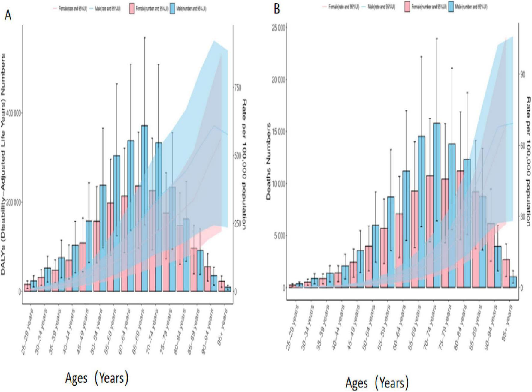Two bar charts labeled A and B compare Disability-Adjusted Life Years (DALYs) and death numbers by age and gender. The x-axes display age groups from 25 to 95 years, while the y-axes show DALYs and death numbers. Bars and shaded areas represent males and females, with error bars indicating variability. Chart A shows DALYs, and Chart B shows death numbers.