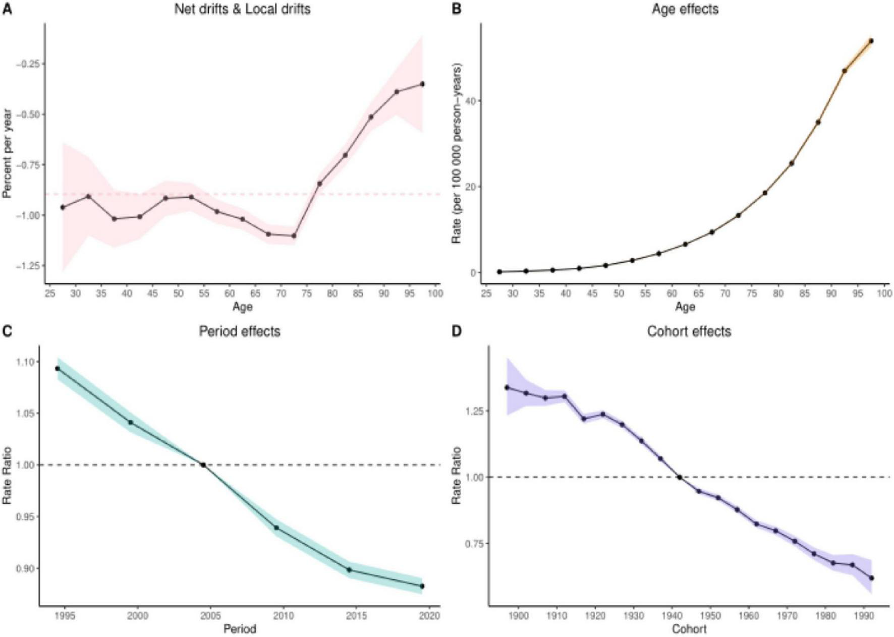 Four graphs are displayed: A shows net and local drifts in percent change per year, with an increase after age sixty. B shows age effects, indicating a rising rate after age sixty. C displays period effects with a decline in rate ratio from 1995 to 2020. D illustrates cohort effects, showing a declining rate ratio from 1900 to 1990. Each graph includes shaded confidence intervals.