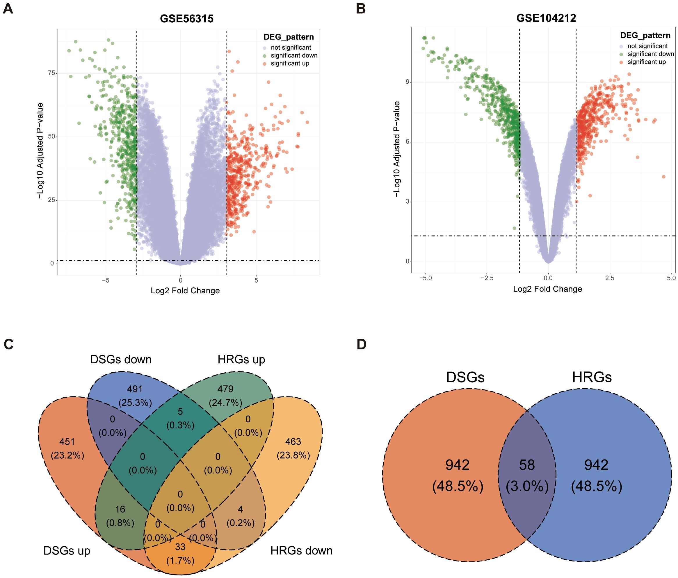 Four graphics display gene expression data. Chart A and B are volcano plots for datasets GSE56315 and GSE104212, showing Log2 fold change against negative Log10 adjusted p-values. Significant genes are marked in red (up) and green (down). Chart C is a Venn diagram with four overlapping sets showing overlapping and unique DSGs and HRGs. Chart D is another Venn diagram showing the overlap between DSGs and HRGs, with 58 genes in common.