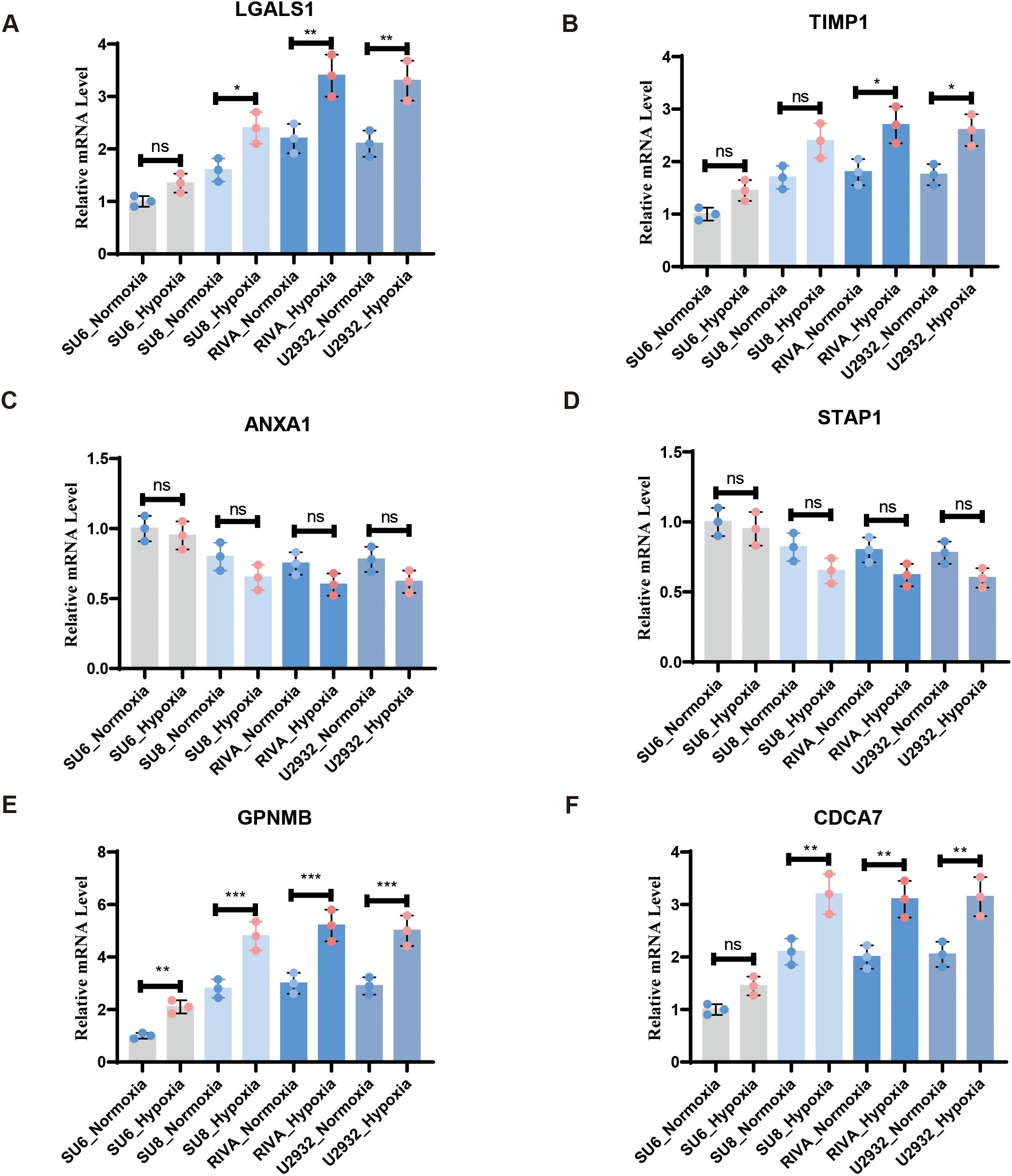 Bar graphs A to F display the relative mRNA levels of LGALS1, TIMP1, ANXA1, STAP1, GPNMB, and CDCA7 in various conditions, including normoxia and hypoxia for SU6, SUB, RVA, and U293 cells. Statistical significance is marked with asterisks: ns (not significant), * (p<0.05), ** (p<0.01), *** (p<0.001). Each graph shows mean values with standard error bars.