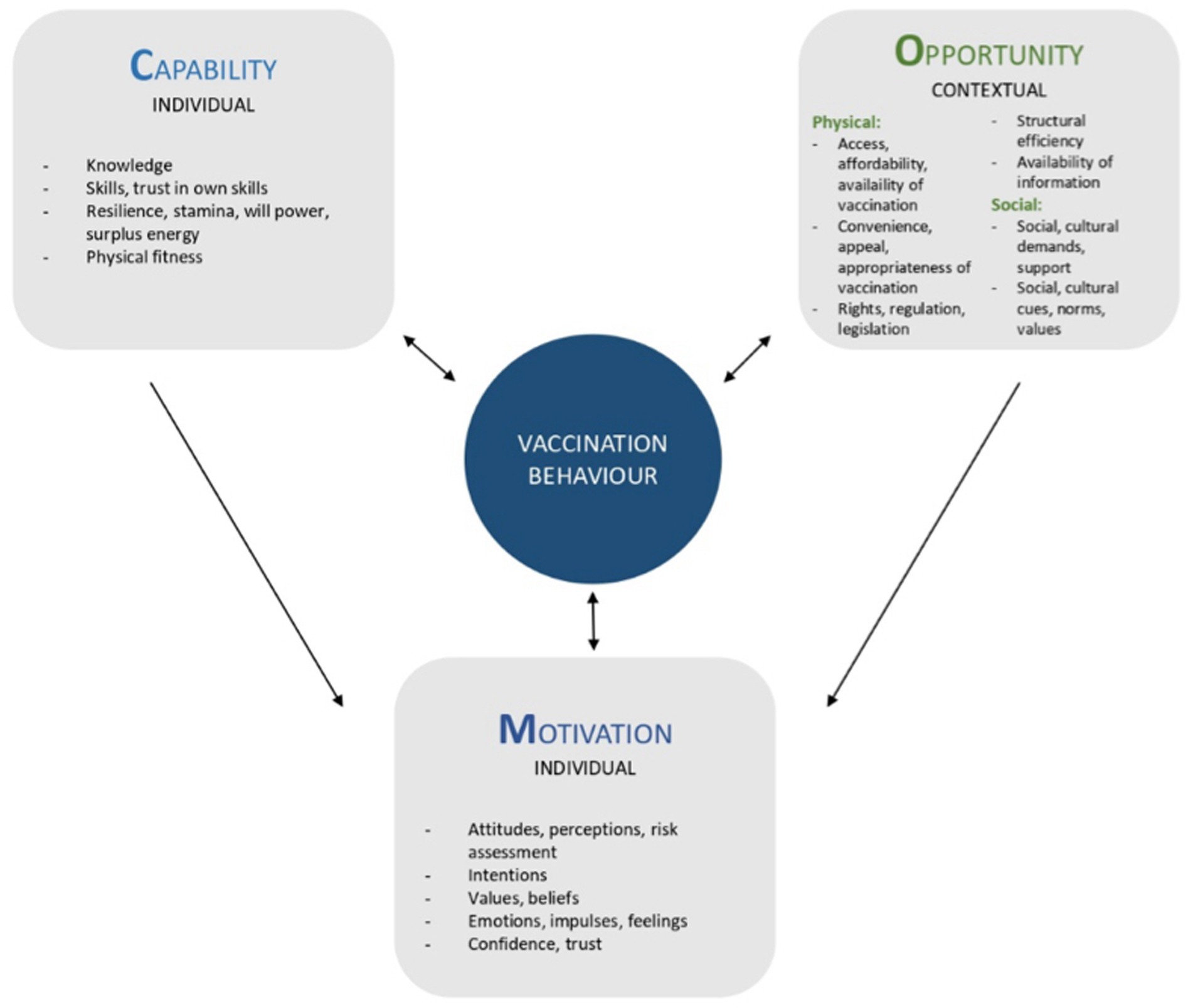 Flowchart illustrating factors influencing vaccination behavior. Central circle labeled