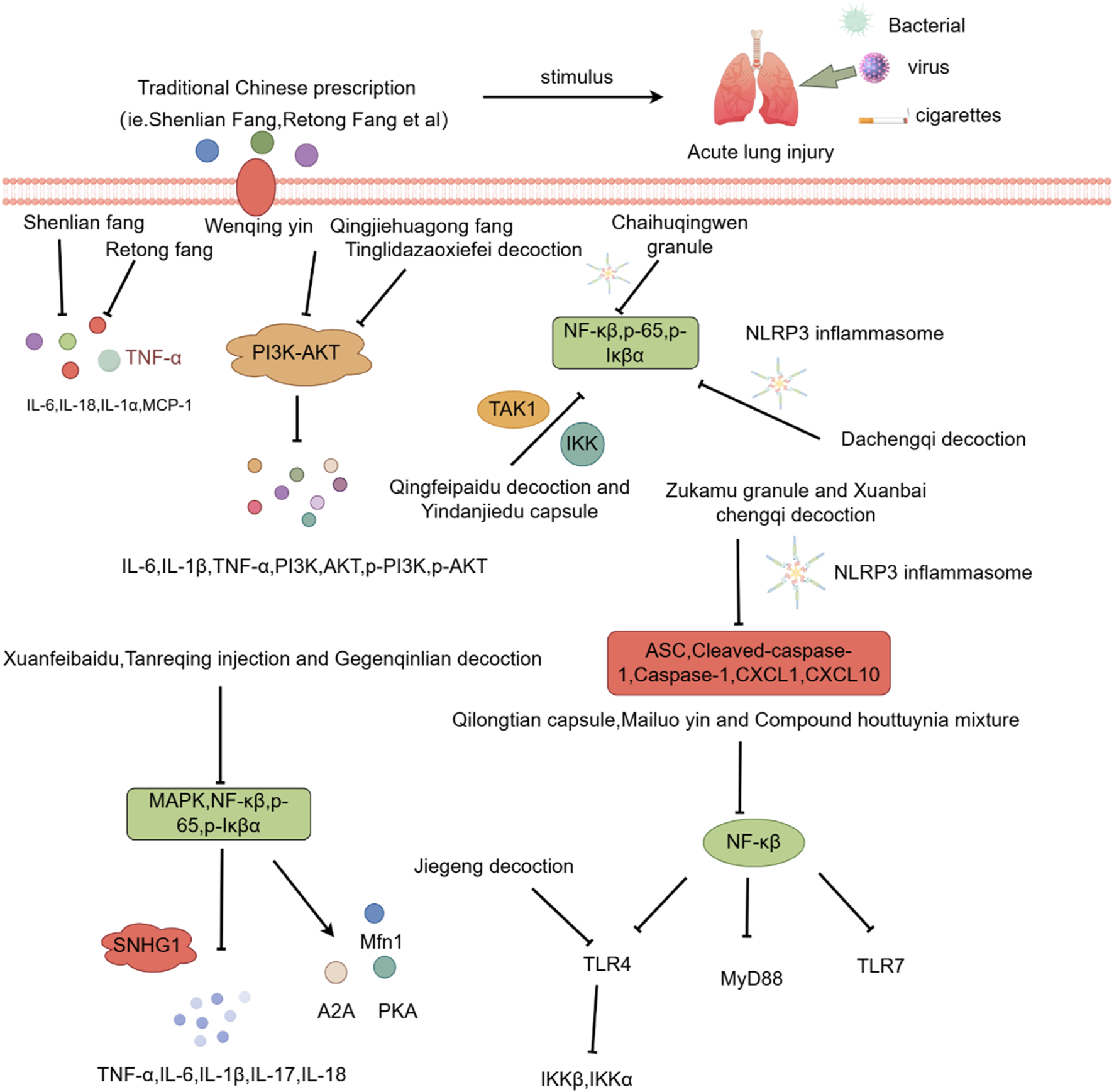 Flowchart depicting the effects of various Traditional Chinese Medicine prescriptions on acute lung injury caused by bacterial, viral, and cigarette smoke stimuli. Key components include PI3K-AKT, MAPK, NF-kB pathways, and the NLRP3 inflammasome, with associated medicines and their biochemical effects outlined. Each prescription targets different molecular pathways to mitigate the injury.