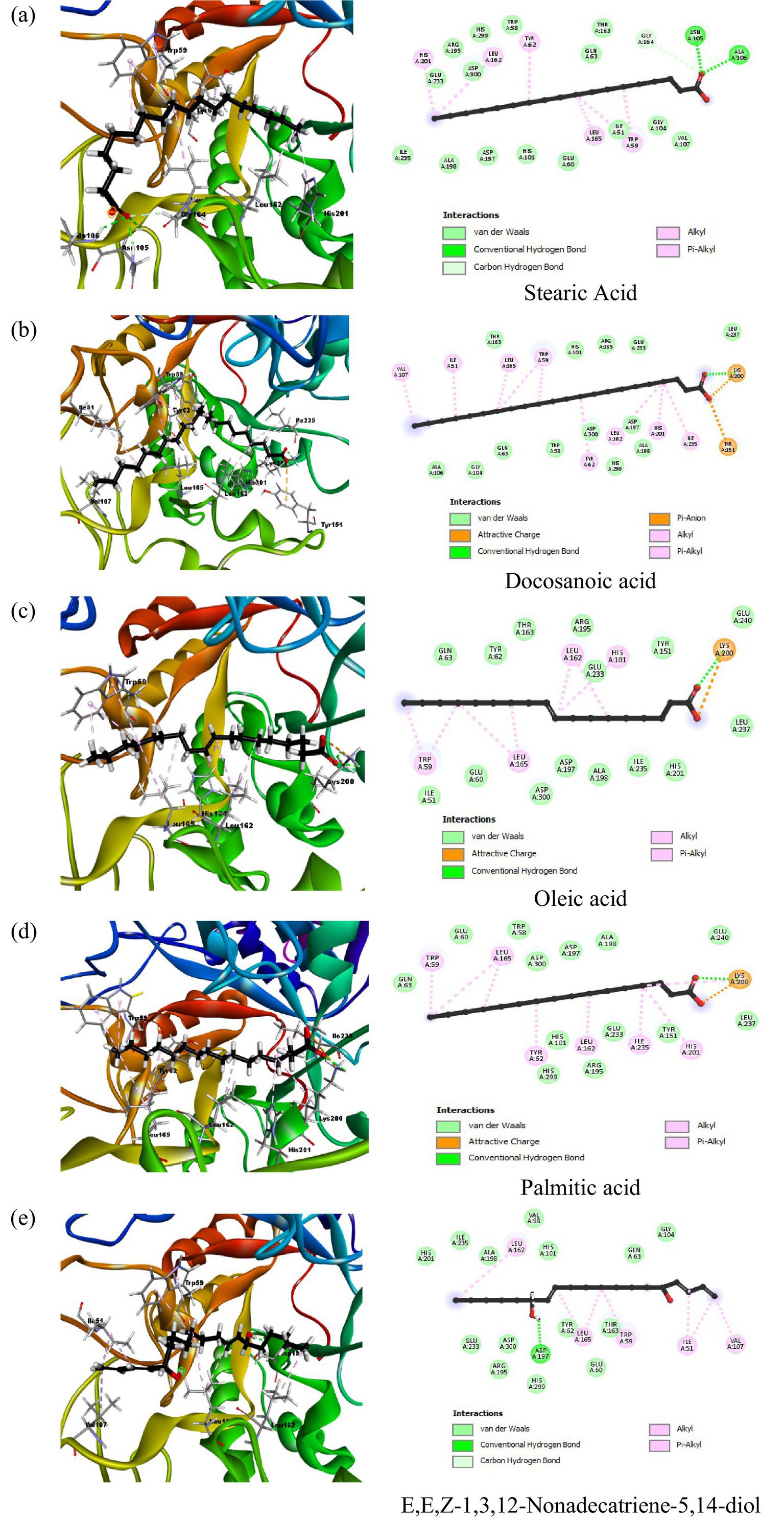 Molecular graphics showing interactions of fatty acids with a protein. Panels (a) to (d) depict Stearic, Docosanoic, Oleic, and Palmitic acids respectively. Each panel includes a 3D structure of the protein-ligand complex and a 2D diagram illustrating chemical interactions. Categories include van der Waals, hydrogen bonds, and alkyl interactions, highlighted in distinct colors. Molecular diagram of E,E,Z-1,3,12-Nonadecatriene-5,14-diol. Left: 3D protein structure in ribbon form, colored in blue, red, yellow, and green, showing interactions with the molecule. Right: 2D diagram with labeled atoms and interaction types—van der Waals (green), conventional hydrogen bond (blue), carbon hydrogen bond (light green), alkyl (purple), and pi-alkyl (pink).