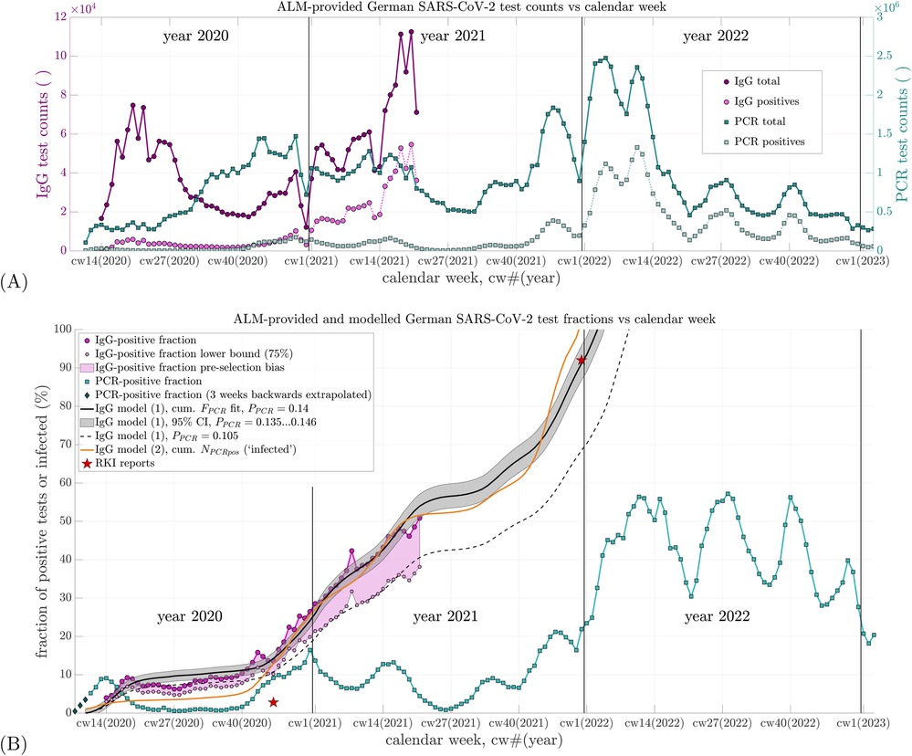 Graph (A) displays IgG and PCR test counts for SARS-CoV-2 in Germany from 2020 to early 2023, with IgG data in purples and PCR data in blues. Graph (B) shows the fractions of positive tests, featuring various models and projections, within the same timeframe. Both graphs include annotations like stars for RKI reports, color-coded legends, and demarcations for each year.