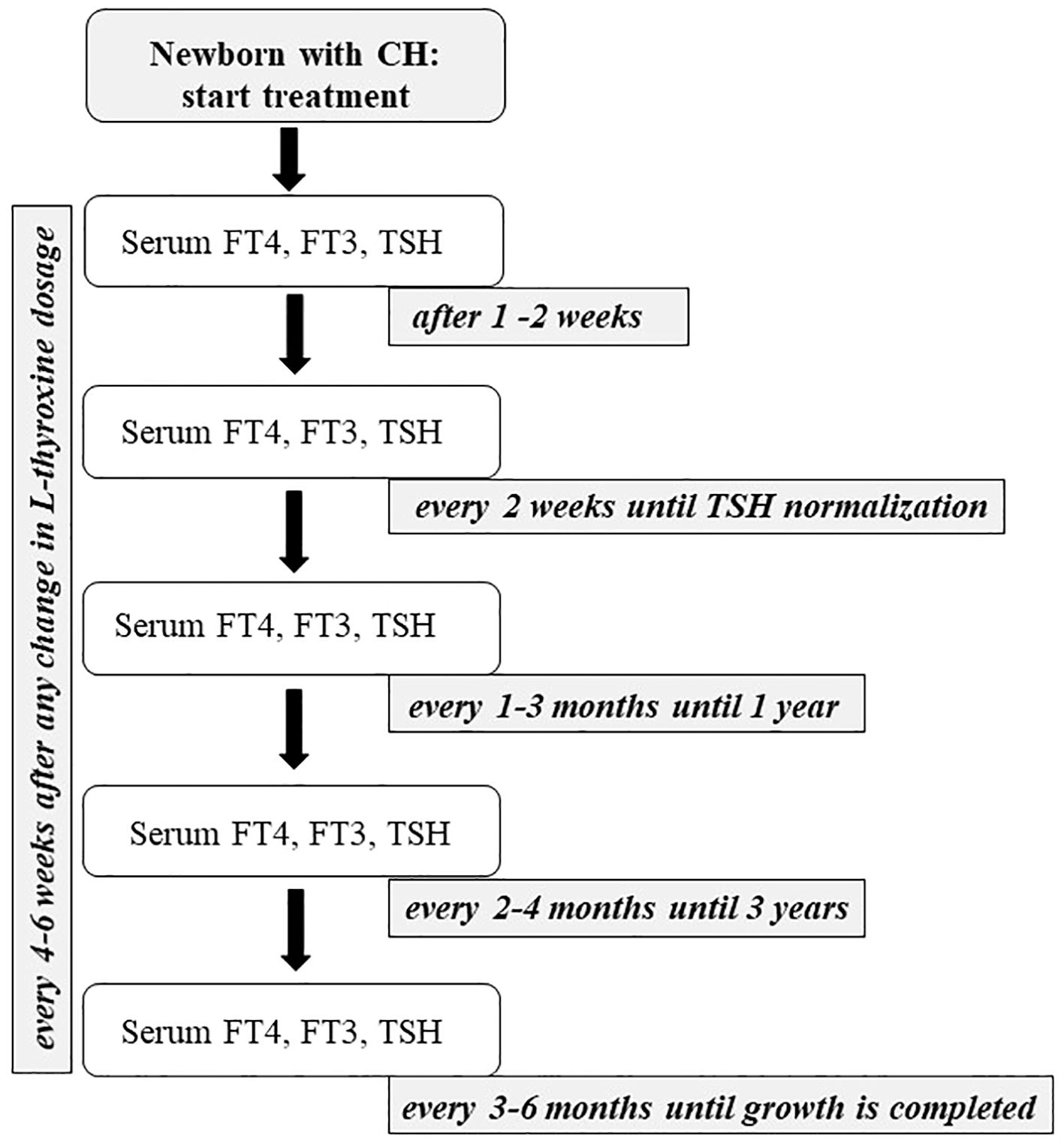 Flowchart detailing the treatment monitoring schedule for newborns with congenital hypothyroidism. Initially, serum FT4, FT3, and TSH levels are checked 1-2 weeks after treatment starts, then every 2 weeks until TSH normalizes. Monitoring continues every 1-3 months for the first year, every 2-4 months until three years, and every 3-6 months until growth completes. Additionally, levels are checked every 4-6 weeks after any L-thyroxine dosage change.
