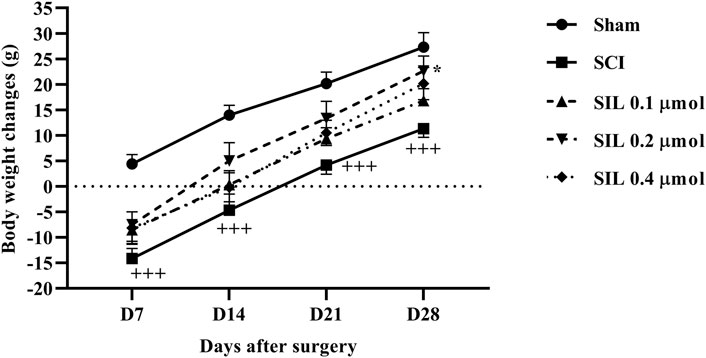 Line graph showing body weight changes in grams over days after surgery (D7, D14, D21, D28) for different groups: Sham, SCI, and SIL treatments at 0.1, 0.2, and 0.4 micromol concentrations. The Sham group shows the highest weight increase, while SCI and SIL groups have lower increases. Error bars indicate standard deviation. Legend differentiates groups with shapes and line styles.