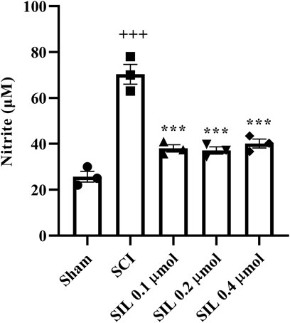 Bar graph showing nitrite levels in micromolar for different treatments: Sham, SCI, and SIL at 0.1, 0.2, and 0.4 micromolar. SCI shows the highest level at about 80 micromolar. SIL treatments decrease nitrite levels significantly compared to SCI. Statistical significance is indicated with symbols.