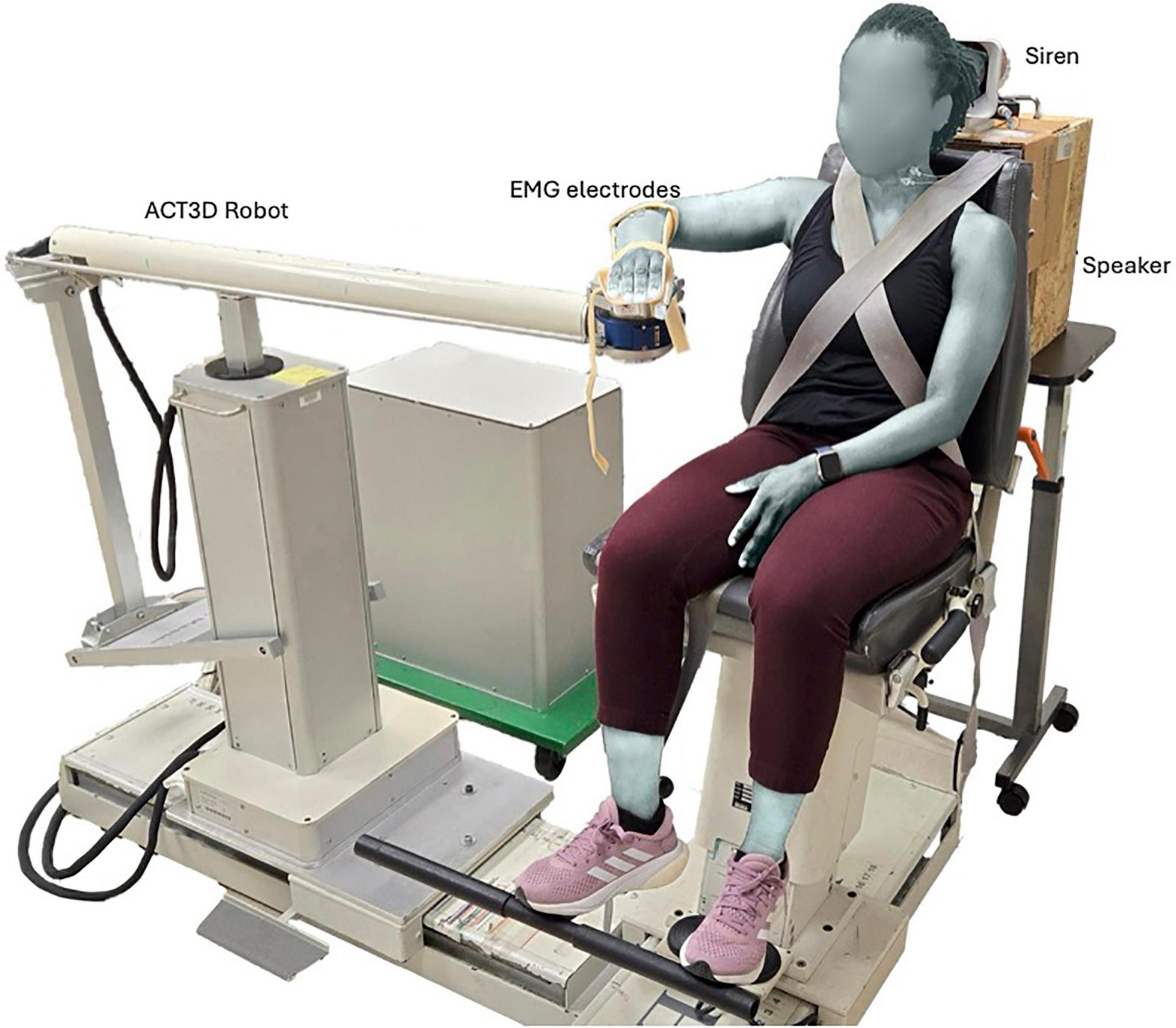 A description of the experimental setup. Participant sits in a specialized chair attached to the ATC3D robot while EMG electrodes are attached to various muscles of their neck and the right arm. A siren and speaker are also labeled in the setup