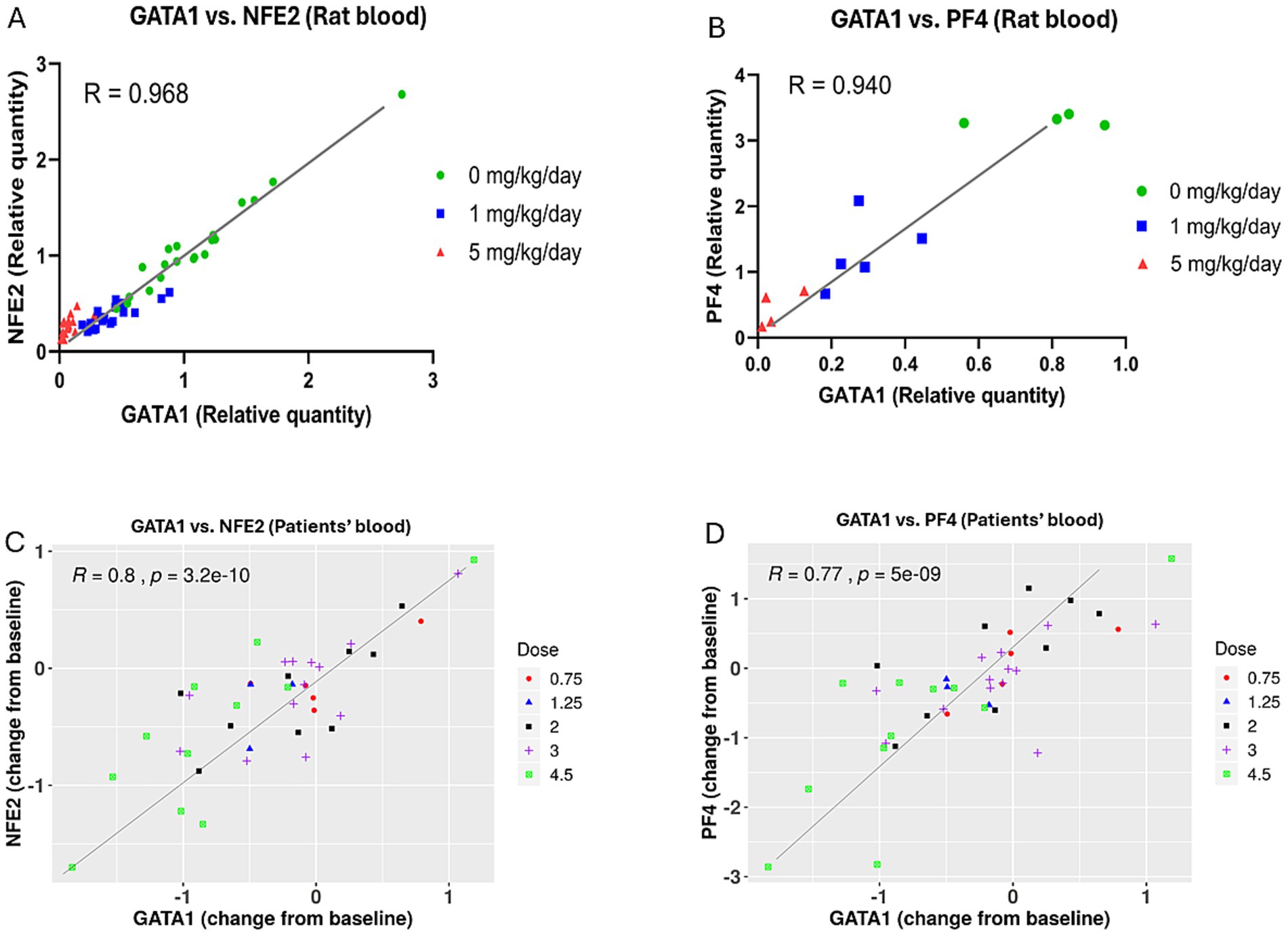 Four scatter plots illustrate correlations between GATA1 and either NFE2 or PF4 in rat and patient blood. Graphs A and B show rat data, with A indicating a correlation between GATA1 and NFE2 (R = 0.968) and B showing GATA1 vs PF4 (R = 0.940). Graphs C and D display patient data, with C highlighting GATA1 vs NFE2 (R = 0.8, p = 3.2e-10) and D showing GATA1 vs PF4 (R = 0.77, p = 5e-09). Data points are color-coded by dose.