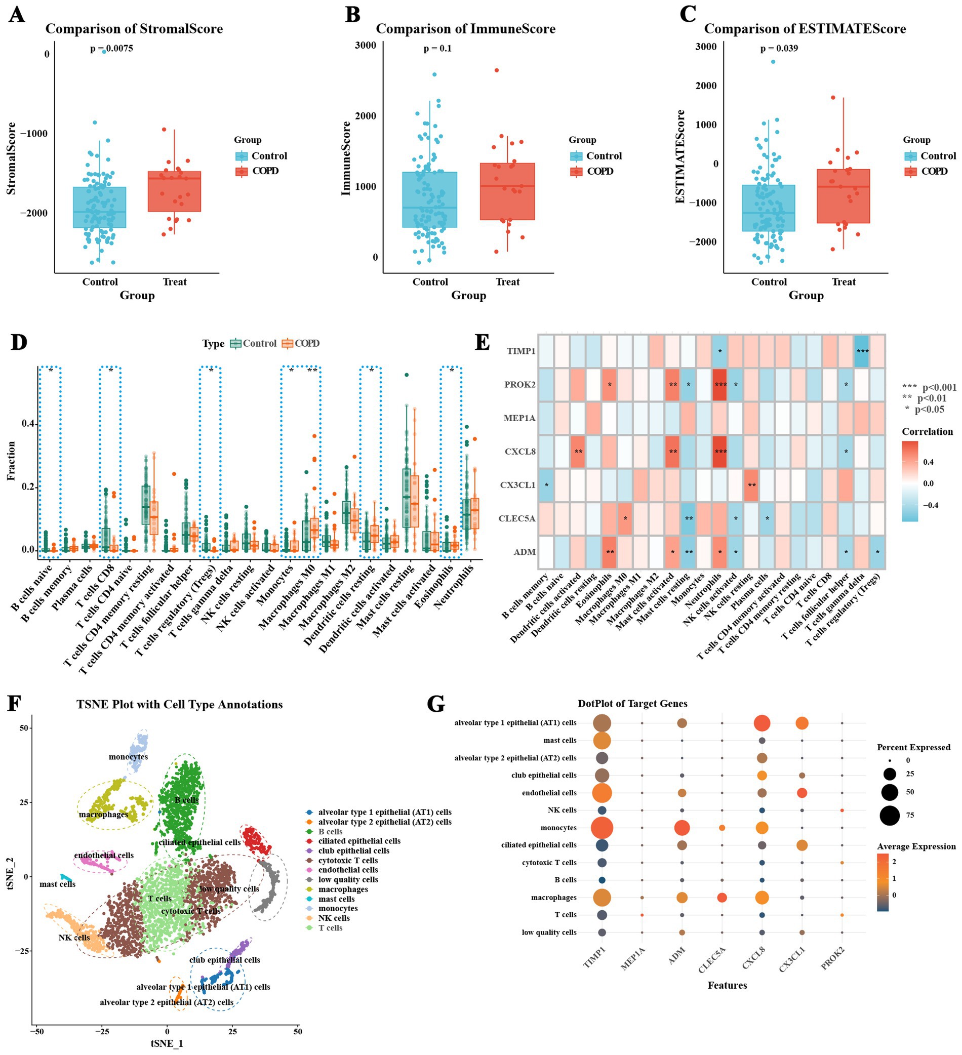 Composite image featuring several data visualizations related to COPD and control groups. Charts A, B, and C show box plots comparing StromalScore, ImmuneScore, and ESTIMATEScore between control and COPD groups. Chart E displays a bar graph of various cell type percentages in each group. Chart F is a heatmap showing the correlation of gene expression with different cell types. Chart G presents a t-SNE plot with cell type annotations. Chart H is a dot plot illustrating gene expression in various cell types, with dot size indicating percentage expressed and color representing average expression.