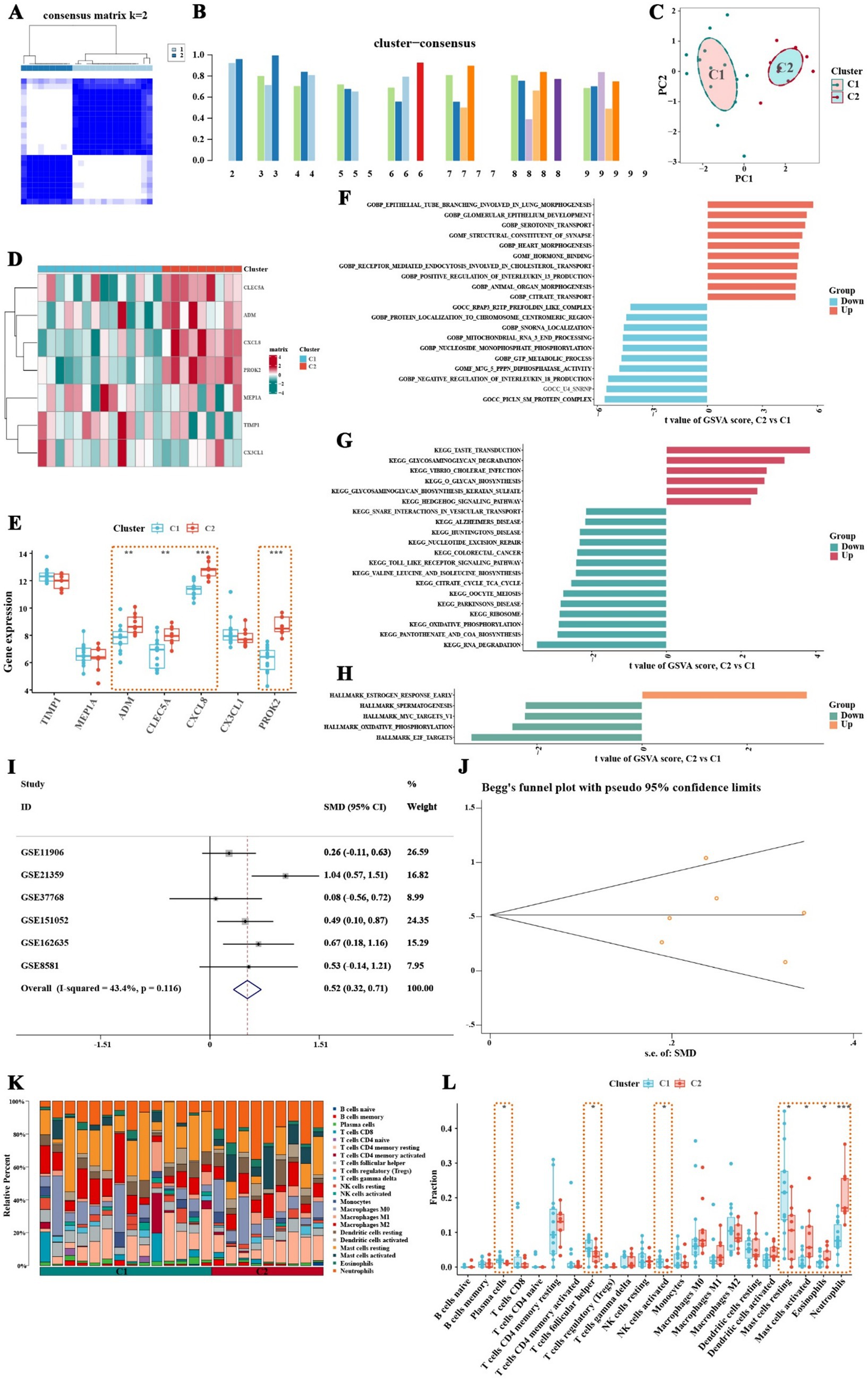 Various charts and graphs depict bioinformatics data analysis. Panel A shows a consensus matrix for K=2. Panel B displays a bar chart of cluster consensus scores. Panel C is a principal component analysis plot with two clusters. Panel D presents a heatmap of gene expression in two clusters. Panel E shows box plots of gene expression for specific genes across clusters. Panels F, G, and H are bar charts with GSVA scores comparing clusters. Panel I is a forest plot for meta-analysis. Panel J features Begg's funnel plot. Panel K is a stacked bar chart of cell type percentages, and Panel L shows box plots of immune cell infiltration across clusters.