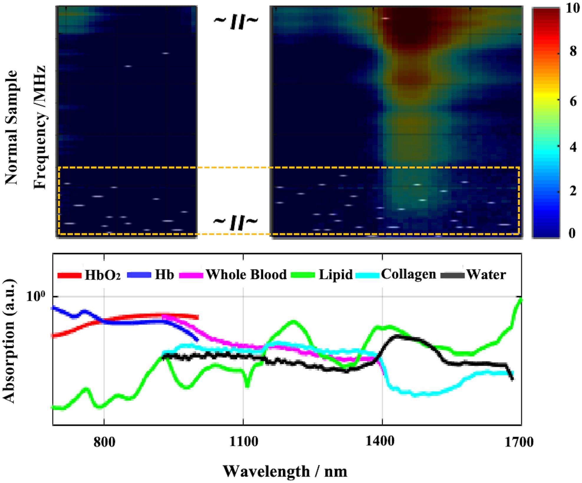 Comparison of clustering performance across three models with different noise types. The top row shows results with uniform noise, while the bottom shows results with Gaussian noise. Each column represents one model: CNN, SC model, and SCL+CL. Silhouette scores are given for each model and noise type: CNN scores 0.149 (uniform) and 0.269 (Gaussian), SC model scores 0.768 and 0.818, and SCL+CL scores 0.735 and 0.781. Plots include scatter points and density contours, using blue and orange to denote two data kinds.
