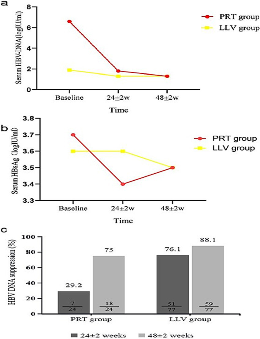 Line and bar graphs showing the effect of treatment over time in two groups, PRT and LLV. Graph (a) shows a decrease in serum HBV-DNA levels; graph (b) shows a decrease in HBsAg levels; graph (c) demonstrates HBV DNA suppression, with percentages increasing over 24 and 48 weeks for both groups.