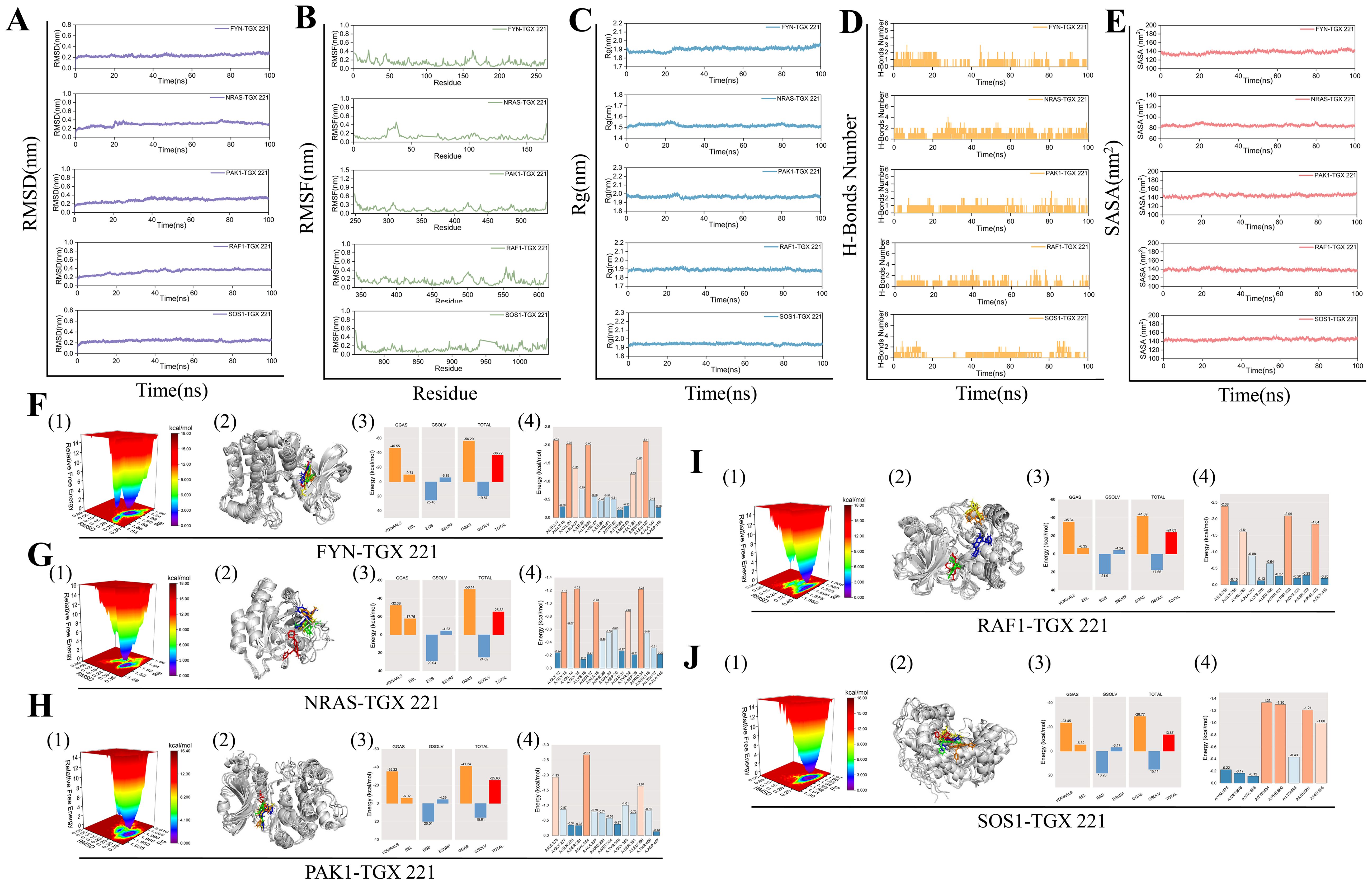 Graphs and diagrams displaying protein-ligand binding dynamics. Panels A to E show graphs of RMSD, RMSF, Rg, hydrogen bonds, and SASA over time for various proteins bound with TGX 221. Panels F to J illustrate 3D energy landscapes, protein structures, bar graphs of binding energy components, and binding energy averages for different protein-TGX 221 complexes.