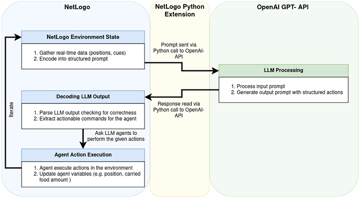 Diagram showing the interaction between NetLogo, a NetLogo Python Extension, and OpenAI GPT-API. NetLogo gathers real-time environment data and encodes it into structured prompts, which are sent through Python to the GPT-API. The API processes the prompts and generates structured action outputs. These responses are read by the extension, decoded for correctness, and converted into commands. Agents then execute actions and update variables like position or carried food amount. The process iterates, creating a continuous feedback loop between environment state, LLM processing, and agent actions.