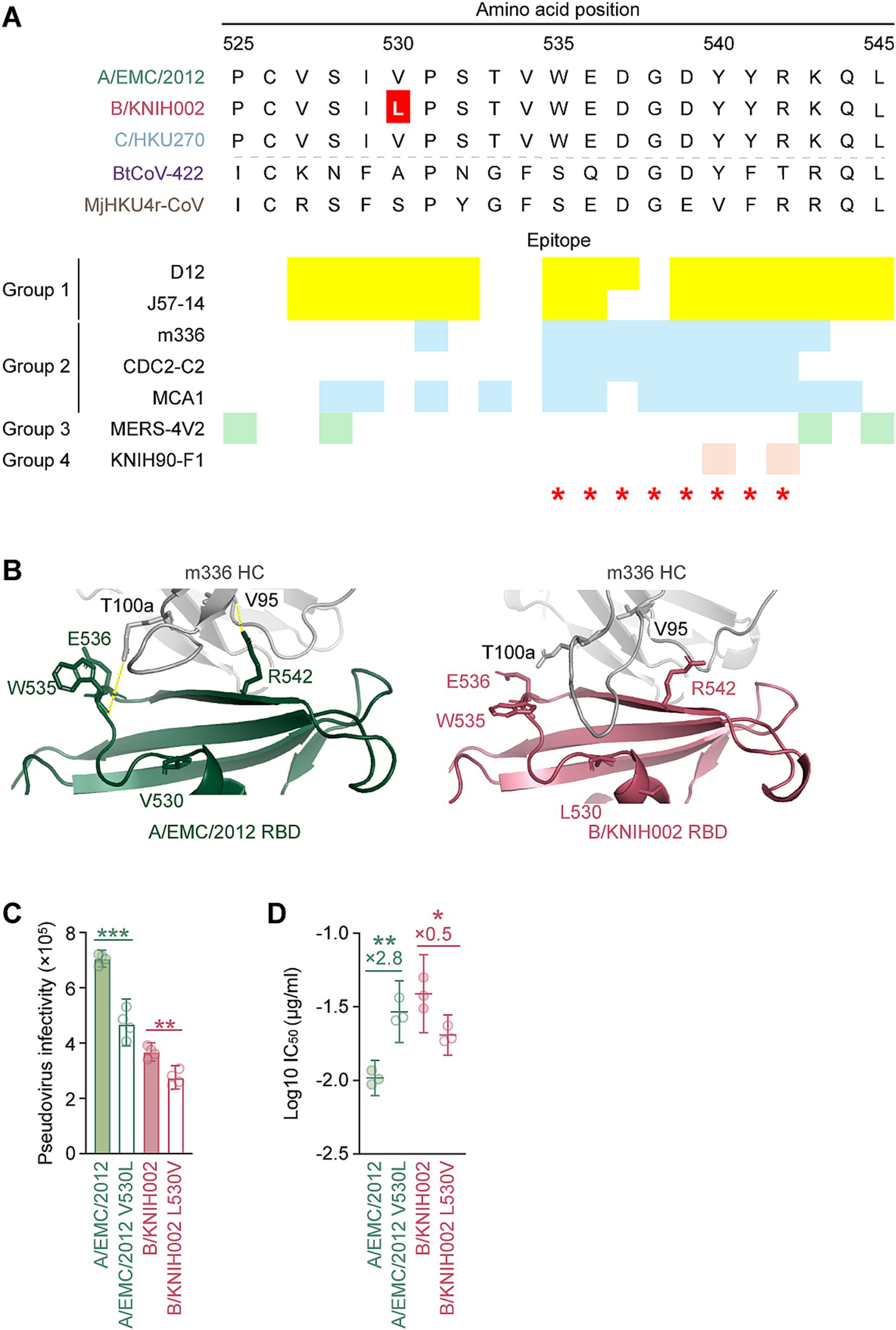 Panel A shows a sequence alignment of amino acid positions 525 to 545 in various virus strains, highlighting differences in epitopes. Panel B displays structural models of the receptor-binding domain for A/EMC/2012 and B/KNIH002, indicating key residues. Panel C presents a bar graph comparing pseudovirus infectivity for different strains, with significant differences marked. Panel D shows a dot plot of log IC50 values for different strains, indicating inhibitory concentration variations.