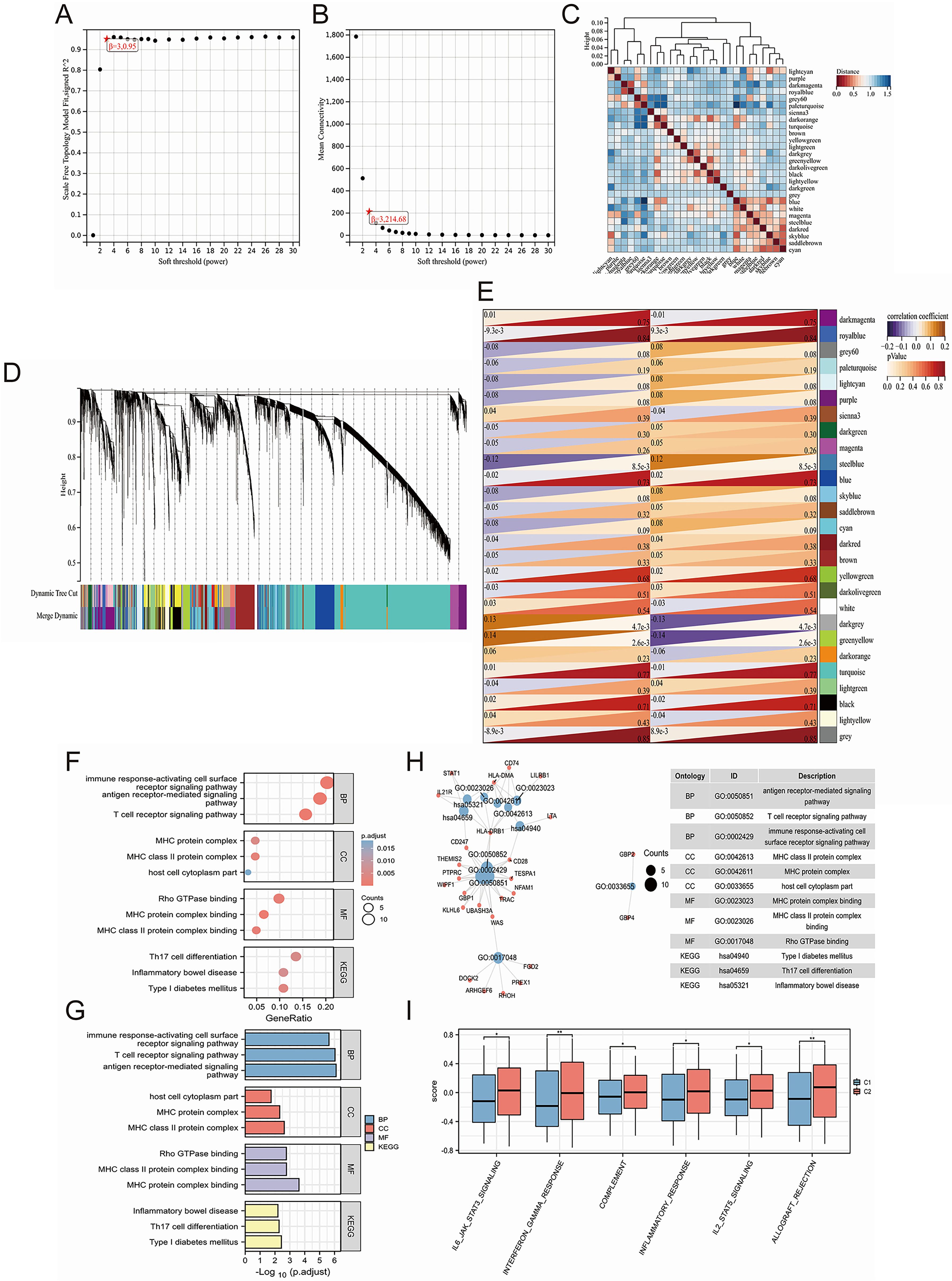 A series of data visualizations in panels labeled A to I. A and B: Scatter plots showing soft threshold versus scale-free topology and mean connectivity, respectively. C: Heatmap of gene expression data with hierarchical clustering. D: Dendrogram showing module clustering. E: Correlation plot of module-trait relationships. F and G: Dot and bar plots depicting enrichment analysis of gene ontology terms and pathways. H: Network diagram of gene ontology categories with associated genes. I: Boxplots comparing expression scores across different conditions.