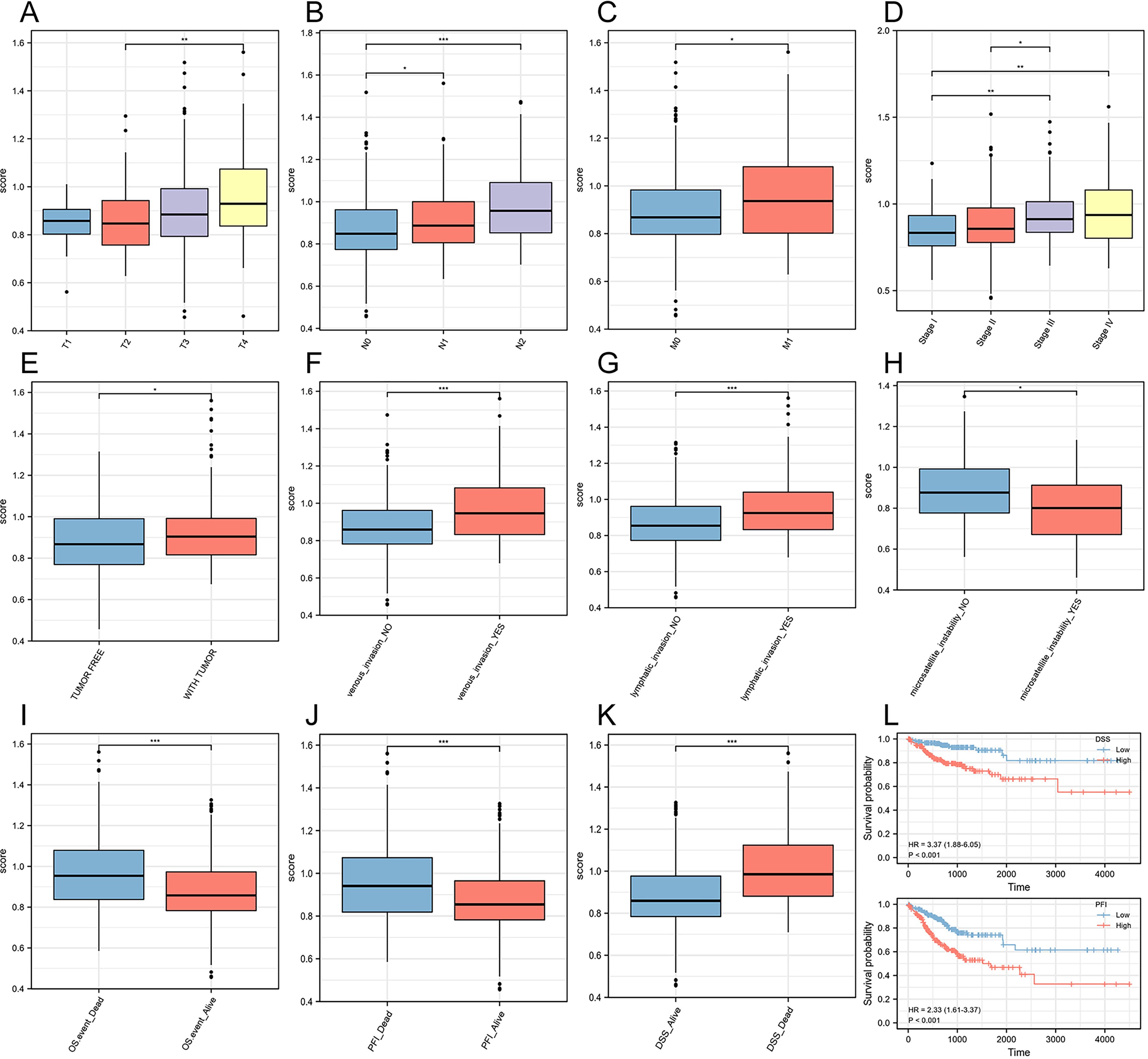 Eleven box plots labeled A-K show data distribution across different categories, each with distinct variable names, comparing two groups' scores. Plot L contains two survival probability graphs with time on the x-axis and probability on the y-axis, comparing low and high groups with hazard ratios and p-values.