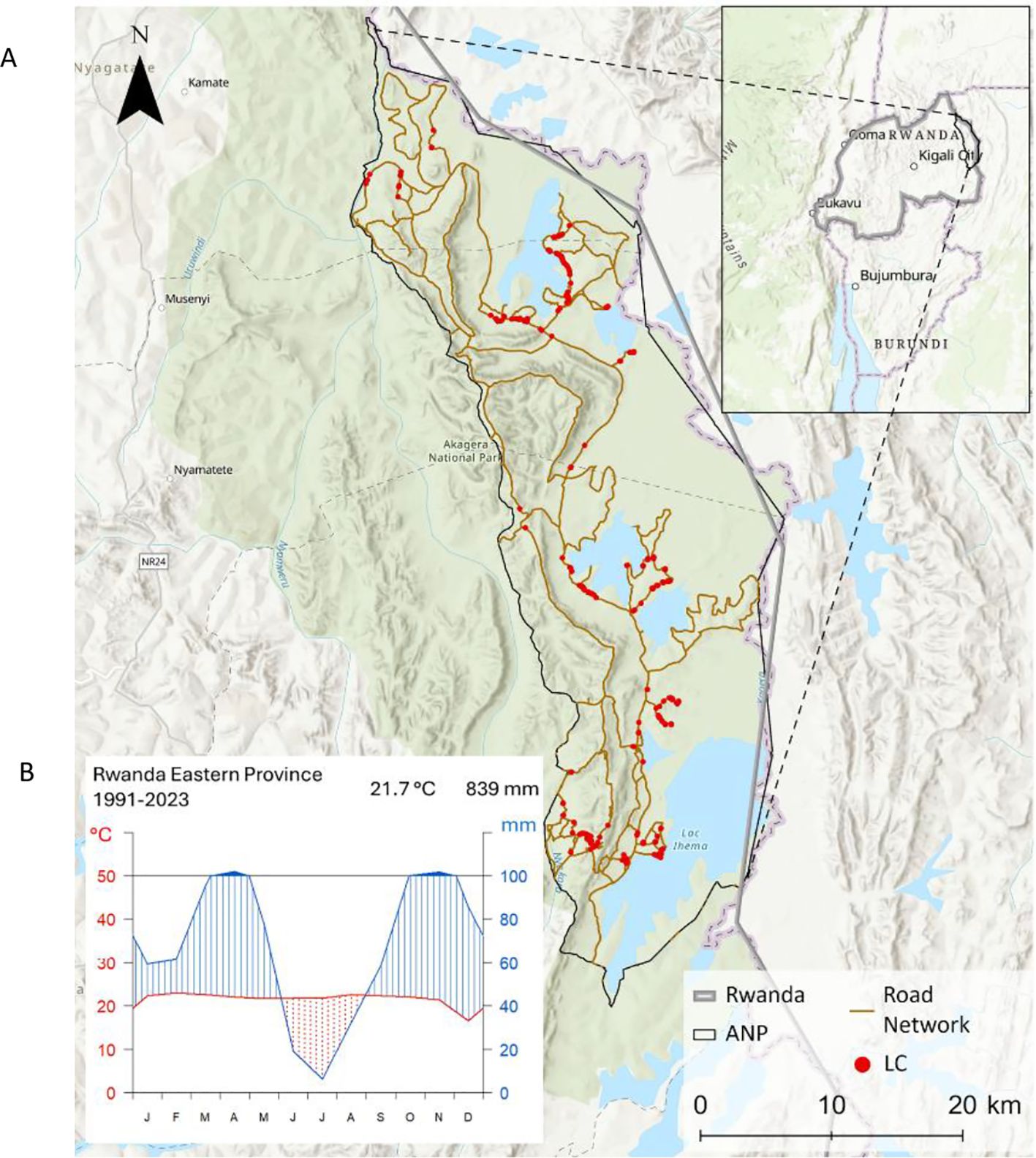 Map showing Akagera National Park in Rwanda with road network and Lantana camara presence locations marked in red. The park lies near the Rwanda-Tanzania border. An inset map highlights the position of Akagera National Park within Rwanda. Scale is provided inkilometers.