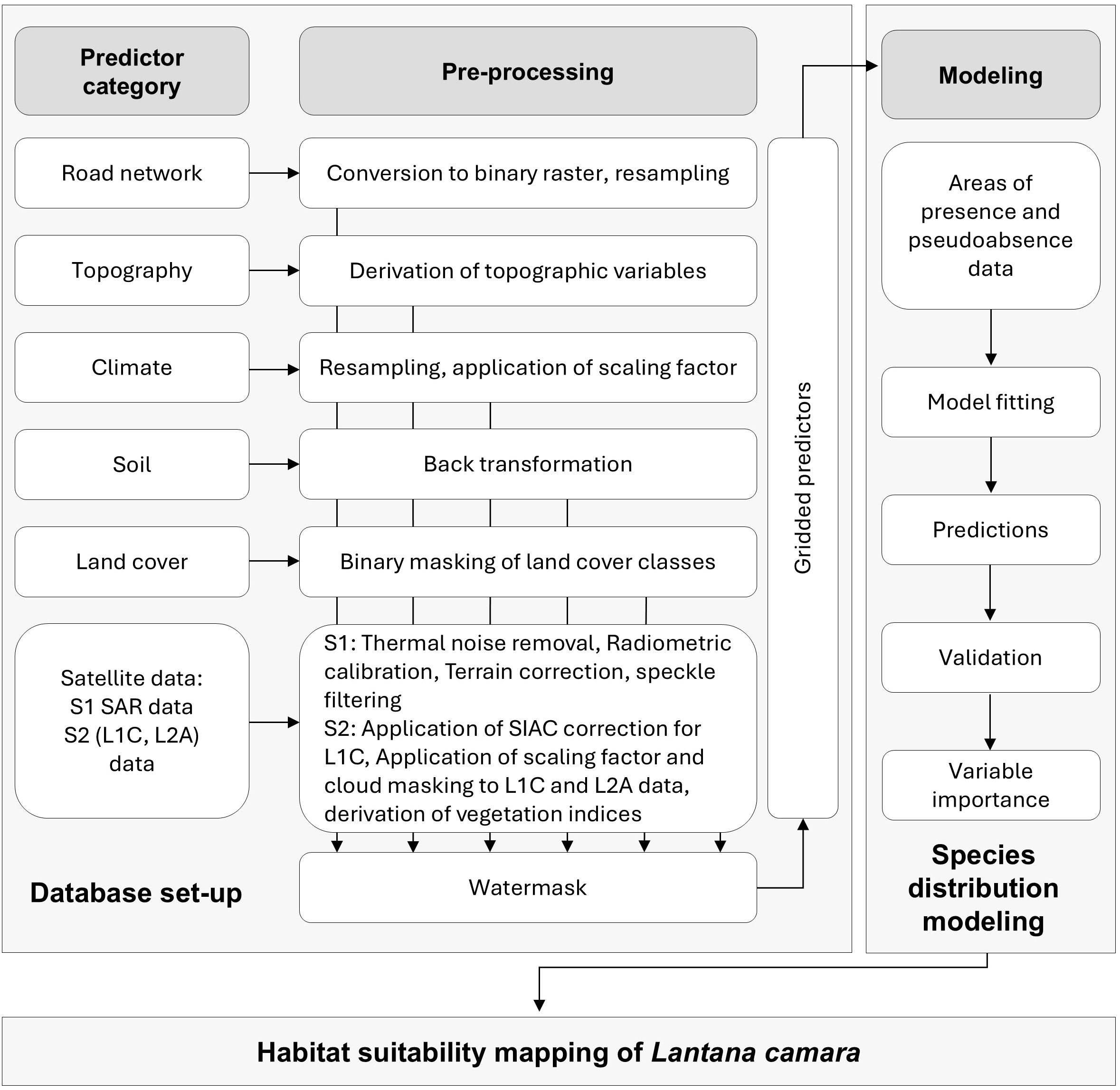 Flowchart detailing habitat suitability mapping of Lantana camara. The process includes three main sections: Predictor category, Pre-processing, and Modeling. Predictors like road network, topography, climate, soil, land cover, and satellite data undergo pre-processing, which involves various conversions and corrections. Gridded predictors feed into modeling for species distribution through presence data analysis, model fitting, predictions, and validation. The process concludes with assessing variable importances and the final habitat suitability map.