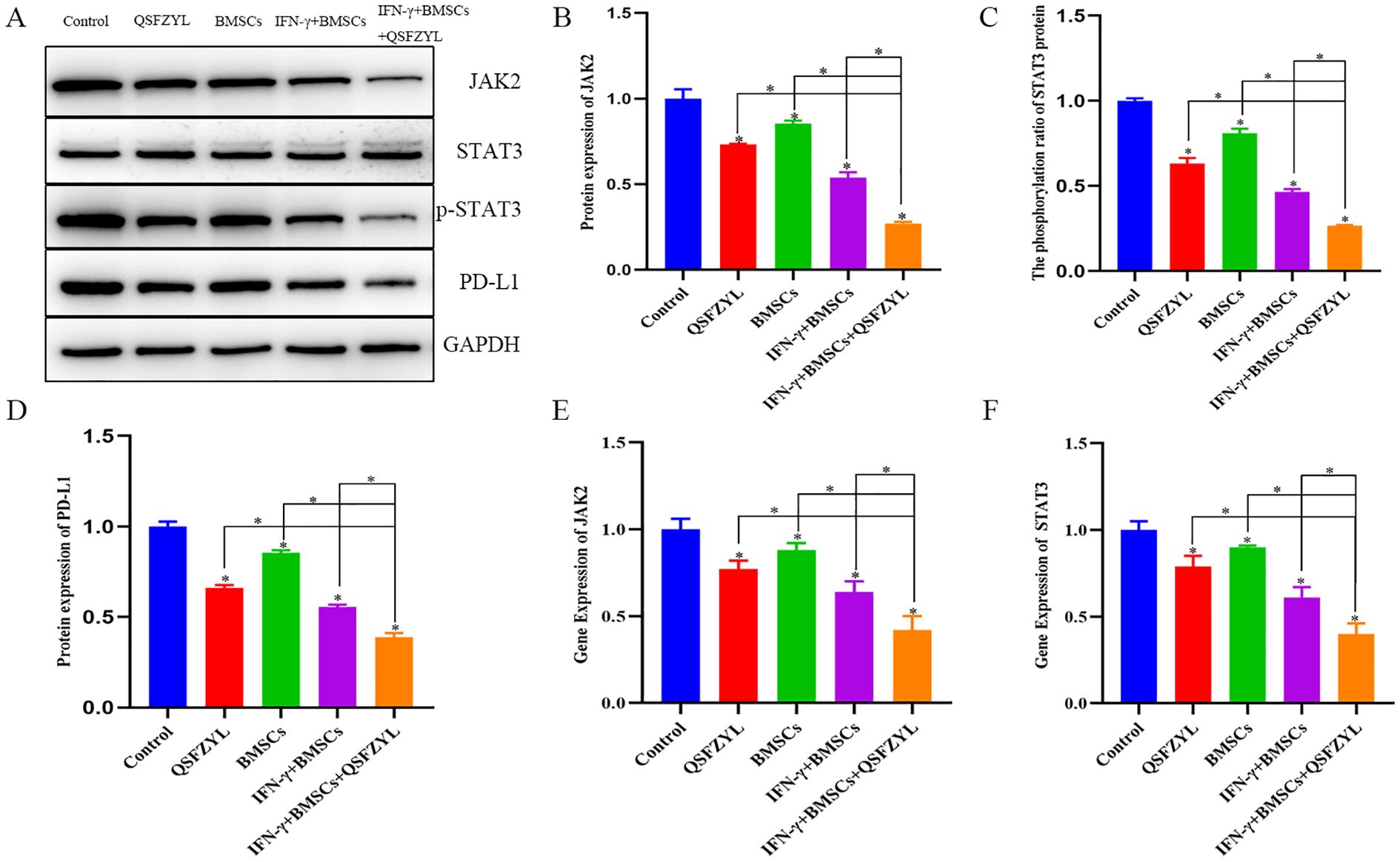 Panel A shows Western blotting results for JAK2, STAT3, p-STAT3, and PD-L1 with GAPDH as a control. Panels B, C, and D display bar graphs depicting protein expression levels of JAK2, STAT3 phosphorylation ratio, and PD-L1, respectively, under control and experimental conditions: QSFZYL, BMSCs, IFN-γ+BMSCs, and IFN-γ+BMSCs+QSFZYL. Panels E and F illustrate gene expression of JAK2 and STAT3 across the same conditions. Asterisks indicate statistical significance.