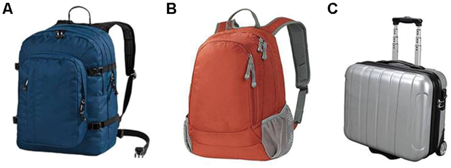 Frontiers | Wearing weighted backpack dilates subjective visual ...