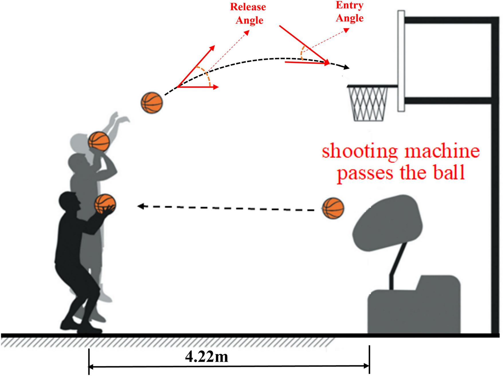 Diagram of a basketball shooting scenario. A player receives the ball from a shooting machine located 4.22 meters away, then shoots towards a hoop. Arrows indicate the ball’s trajectory, showing the release and entry angles.
