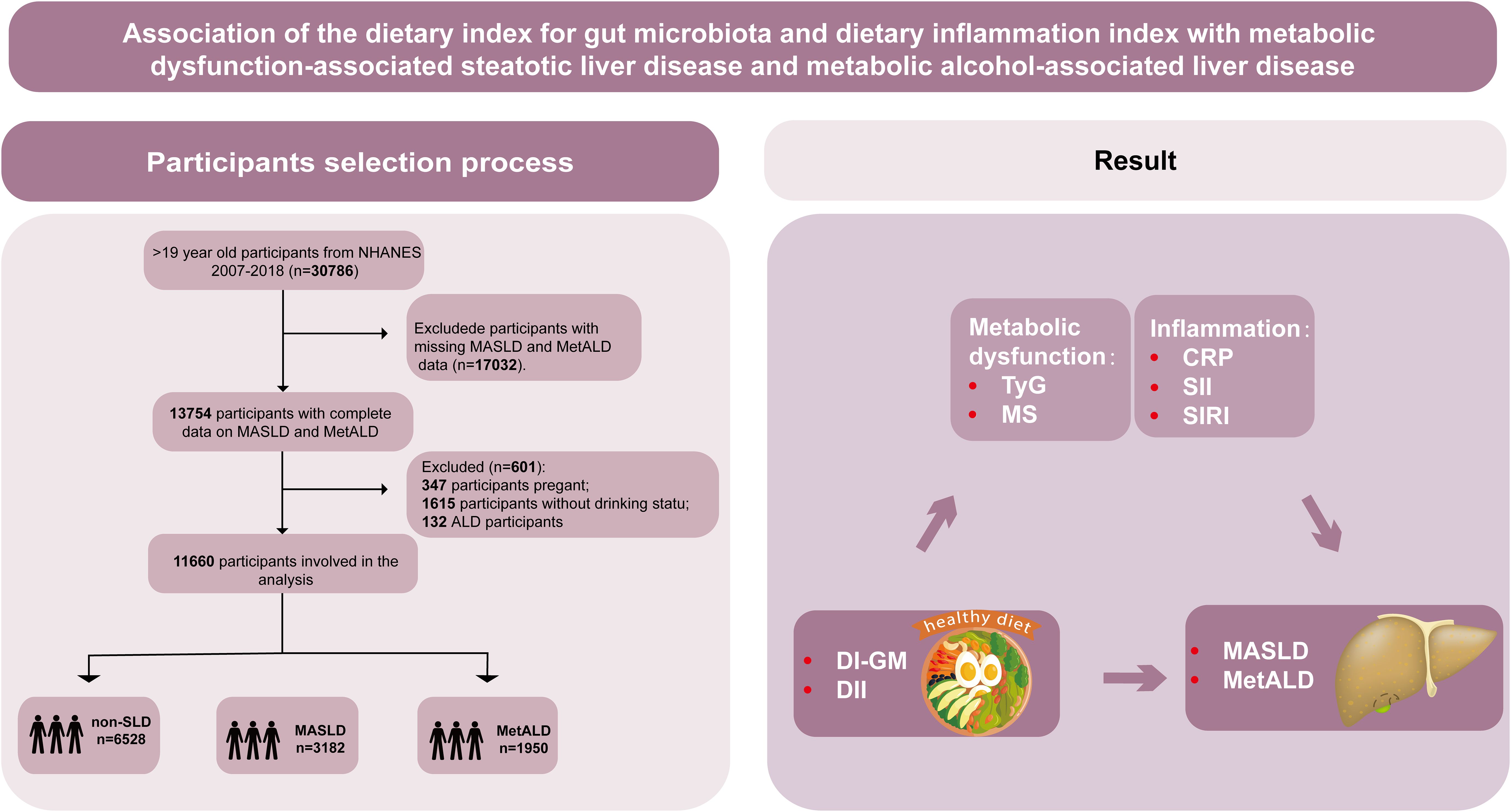 Flowchart describing the participant selection process for a study on diet indices and liver diseases. Initially, 30,786 participants from NHANES 2007-2018 were screened. Exclusions included 17,032 for incomplete data, then 601 for being pregnant, no drinking status, or having ALD. This left 11,660 participants, divided into non-SLD (6,528), MASLD (3,182), and MetALD (1,950). Results assessed metabolic dysfunction (TyG, MS) and inflammation markers (CRP, SII, SIRI). Arrows connect dietary indices (DI-GM, DII) to MASLD and MetALD imagery, with a healthy diet symbol.