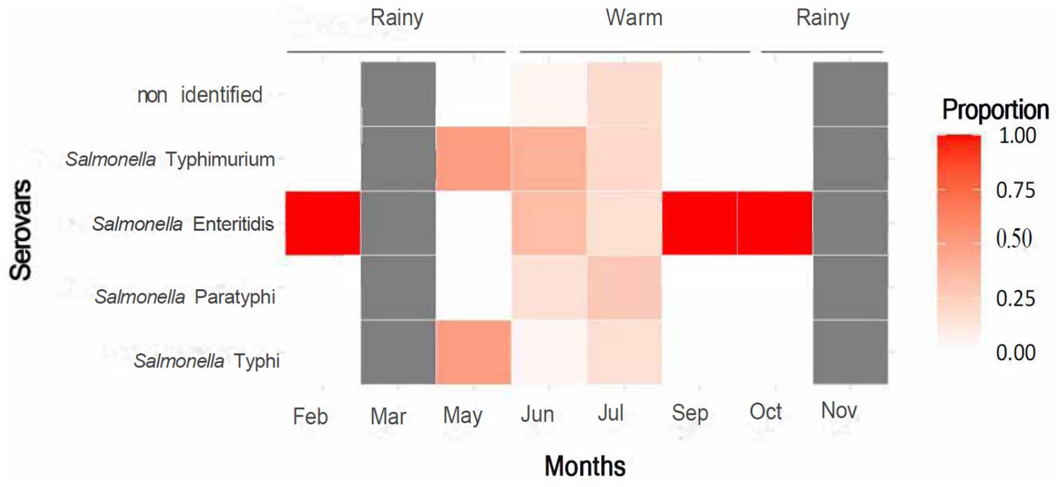 Heatmap showing the proportion of various Salmonella serovars across months and seasons. Darker shades indicate higher proportions. Salmonella Enteritidis peaks in February and September. Seasons are labeled as rainy and warm. A color scale on the right indicates proportion levels from zero (light) to one (dark red).