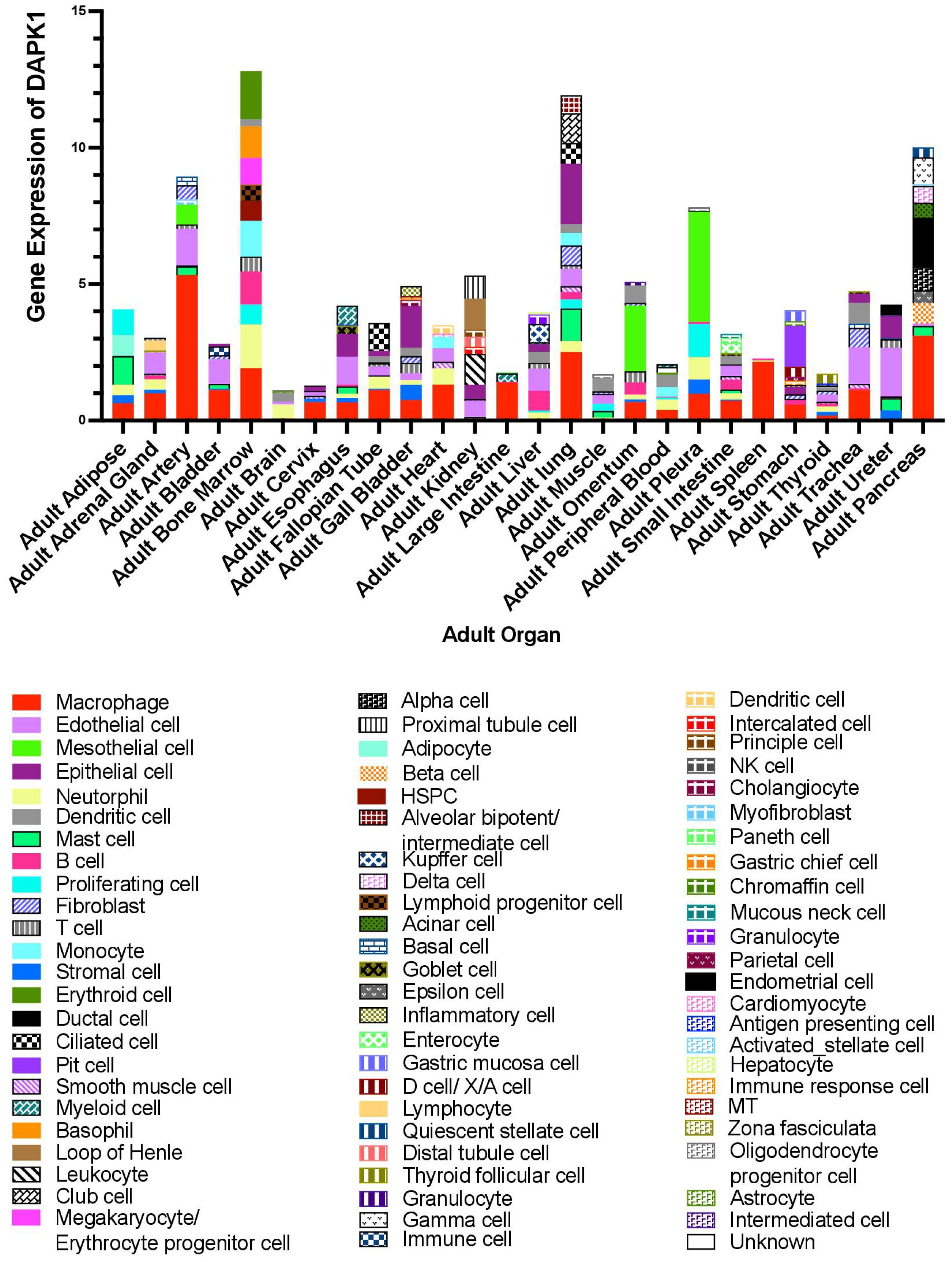 Bar chart depicting gene expression of DAPK1 in various adult organs, with each bar segmented by different cell types. The x-axis lists organs like the adrenal gland and pancreas, while the y-axis shows expression levels. A color-coded legend indicates cell types, such as macrophages and endothelial cells.